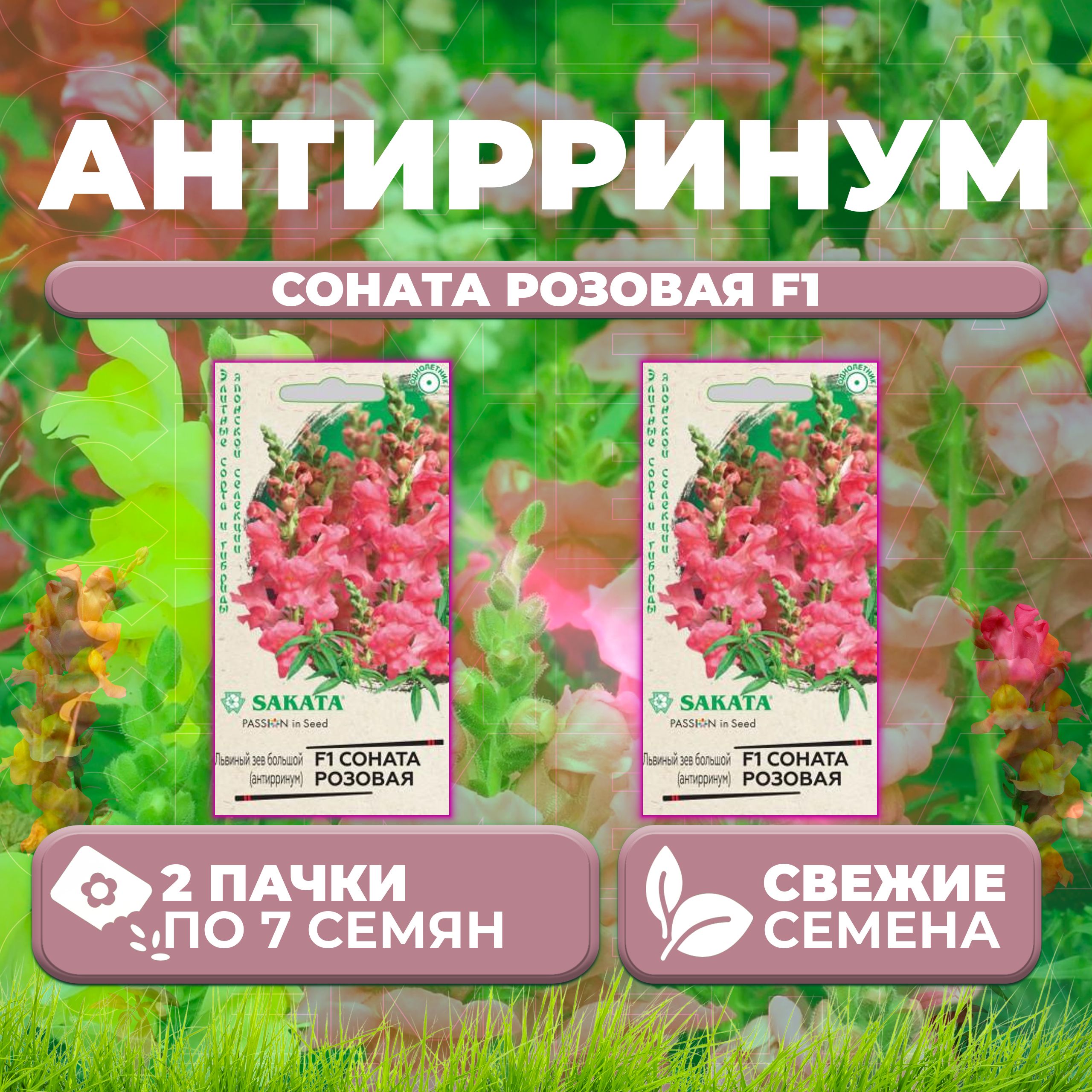 

Семена Антирринум (Львиный зев) Соната розовая F1, 7шт, Гавриш, Sakata (2 уп)