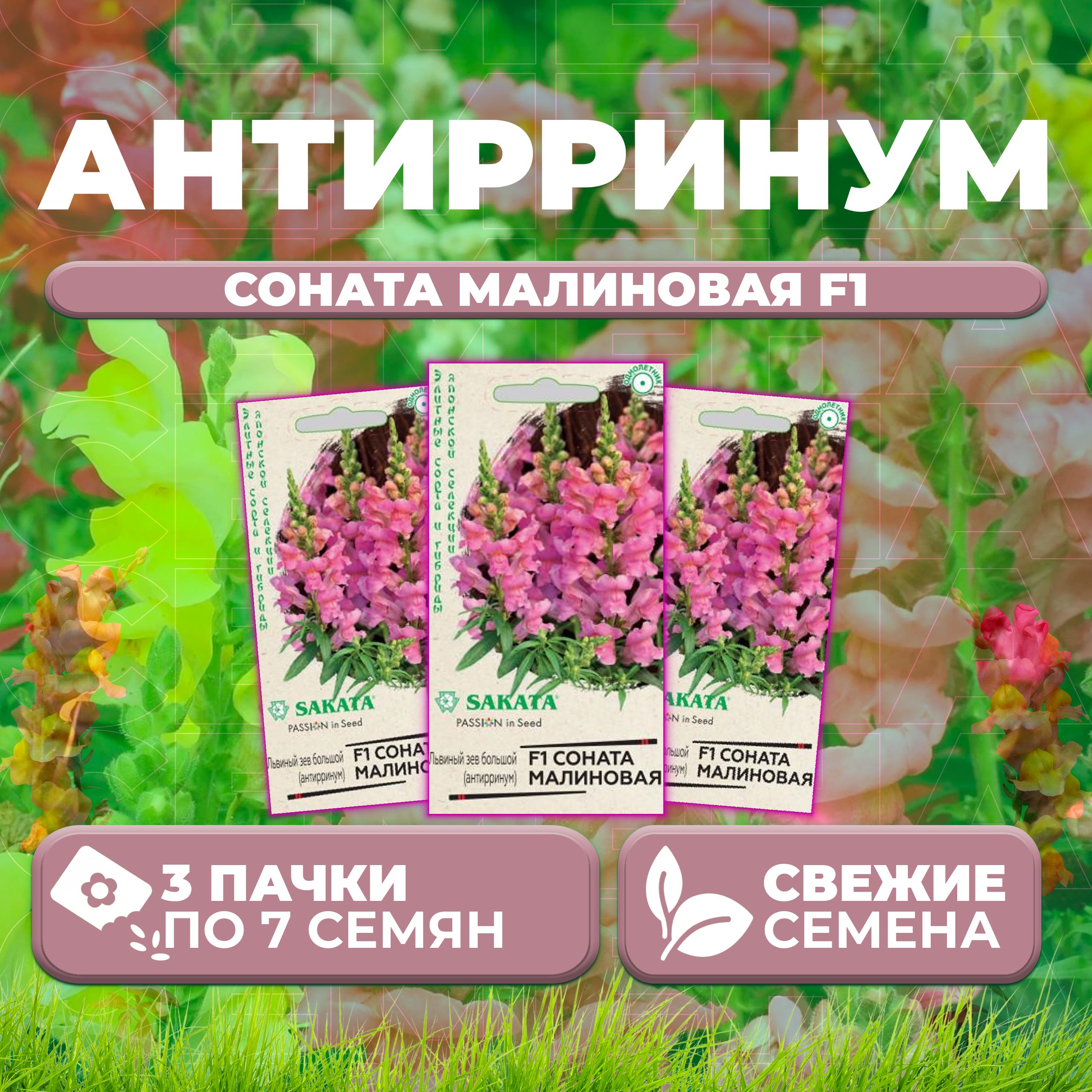 

Семена Антирринум (Львиный зев) Соната малиновая F1, 7шт, Гавриш, Sakata (3 уп)