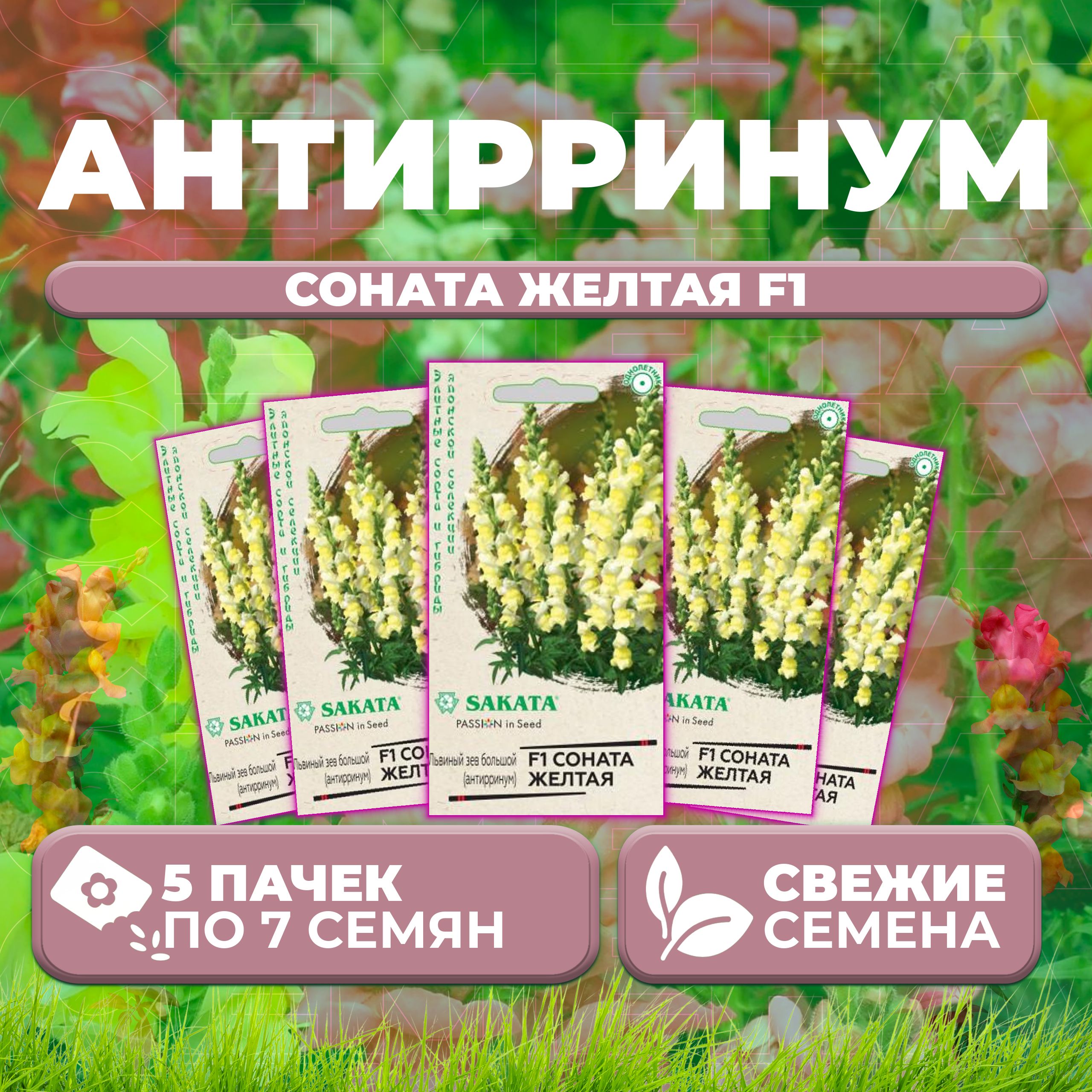 

Семена Антирринум (Львиный зев) Соната желтая F1, 7шт, Гавриш, Sakata (5 уп)
