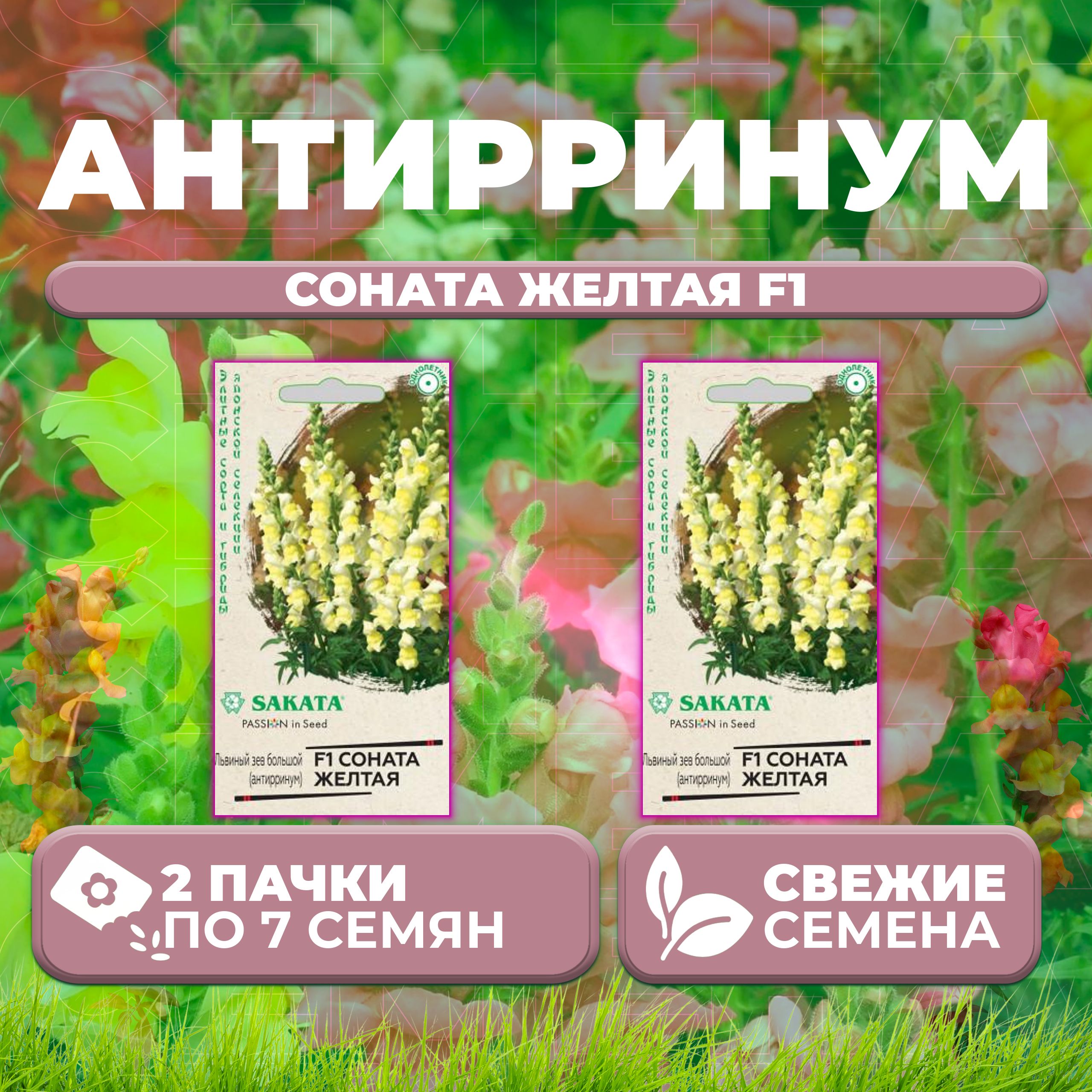 

Семена Антирринум (Львиный зев) Соната желтая F1, 7шт, Гавриш, Sakata (2 уп)
