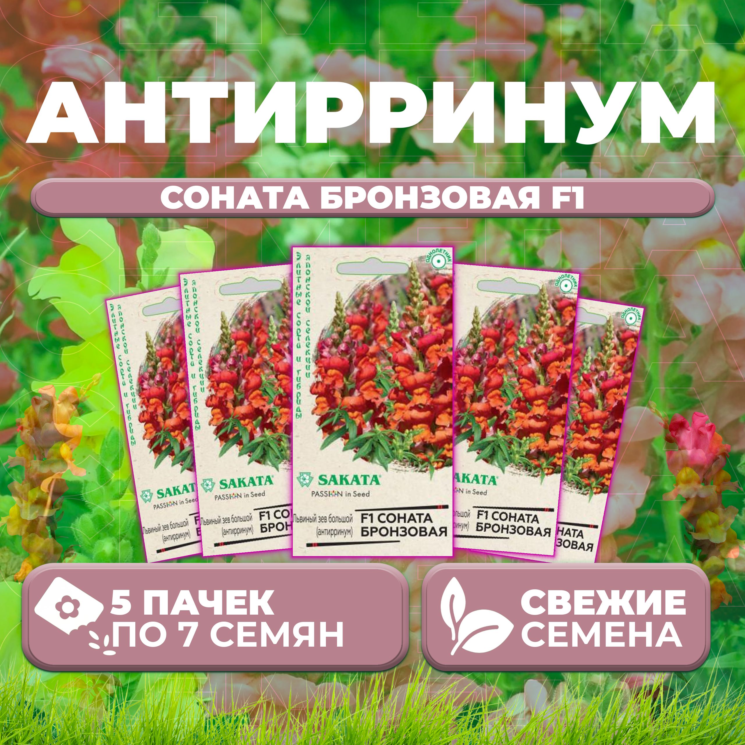 

Семена Антирринум (Львиный зев) Соната бронзовая F1, 7шт, Гавриш, Sakata (5 уп)