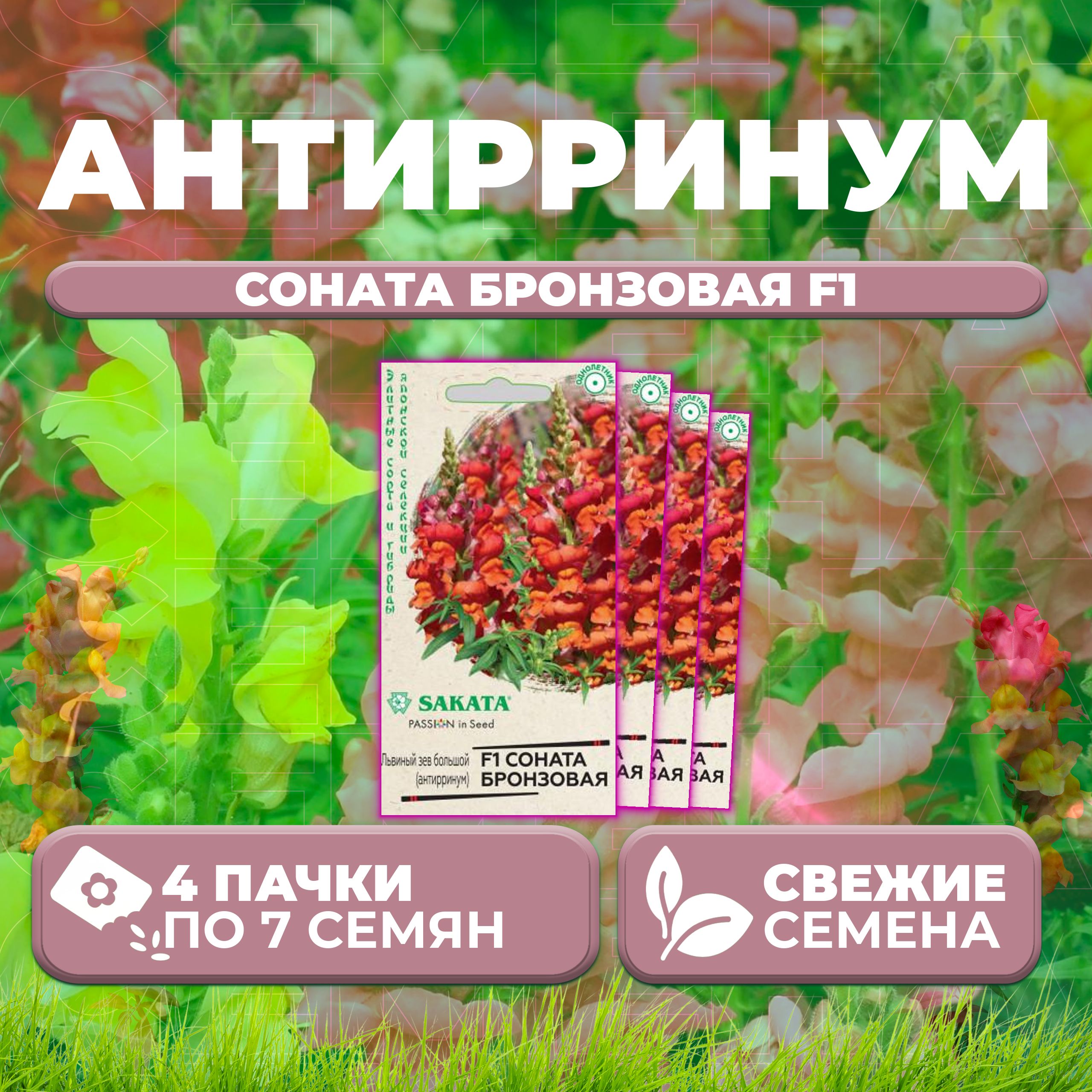 

Семена Антирринум (Львиный зев) Соната бронзовая F1, 7шт, Гавриш, Sakata (4 уп)