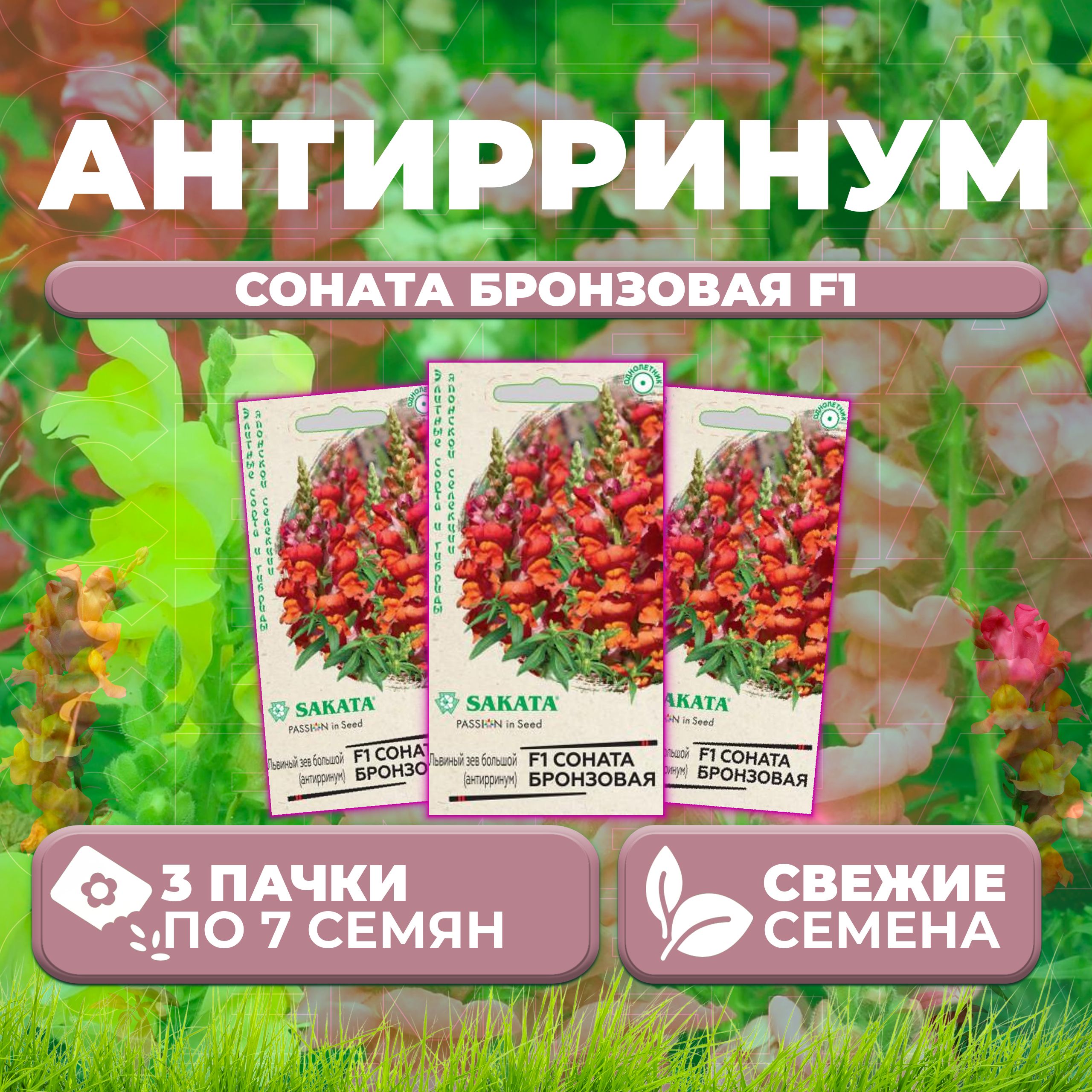 

Семена Антирринум (Львиный зев) Соната бронзовая F1, 7шт, Гавриш, Sakata (3 уп)