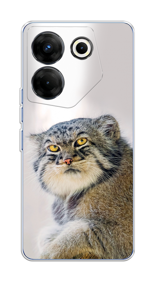 

Чехол на Tecno Camon 20 Pro 5G "Кот манул 1", Серый;белый;желтый, 304050-1