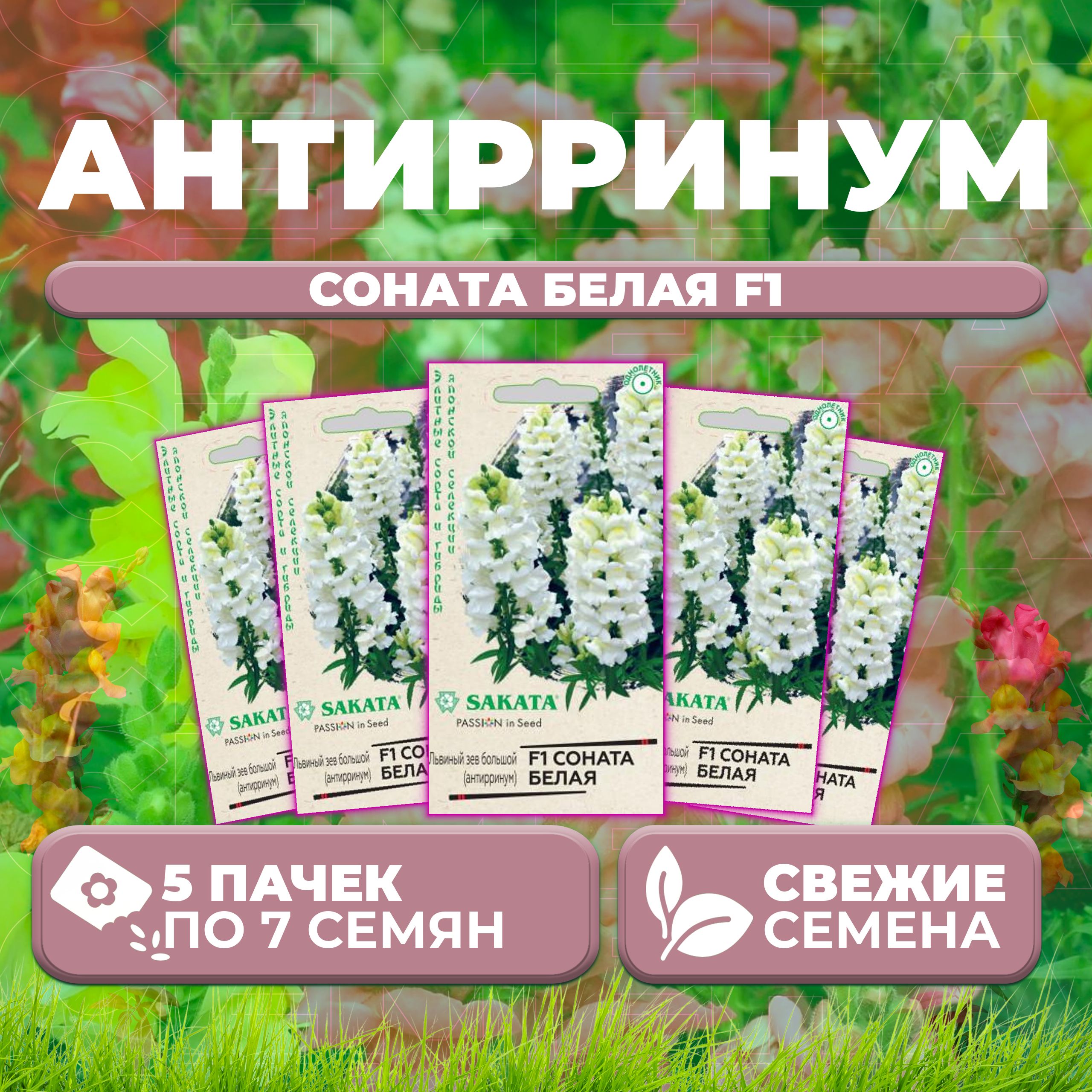 

Семена Антирринум (Львиный зев) Соната белая F1, 7шт, Гавриш, Sakata (5 уп)