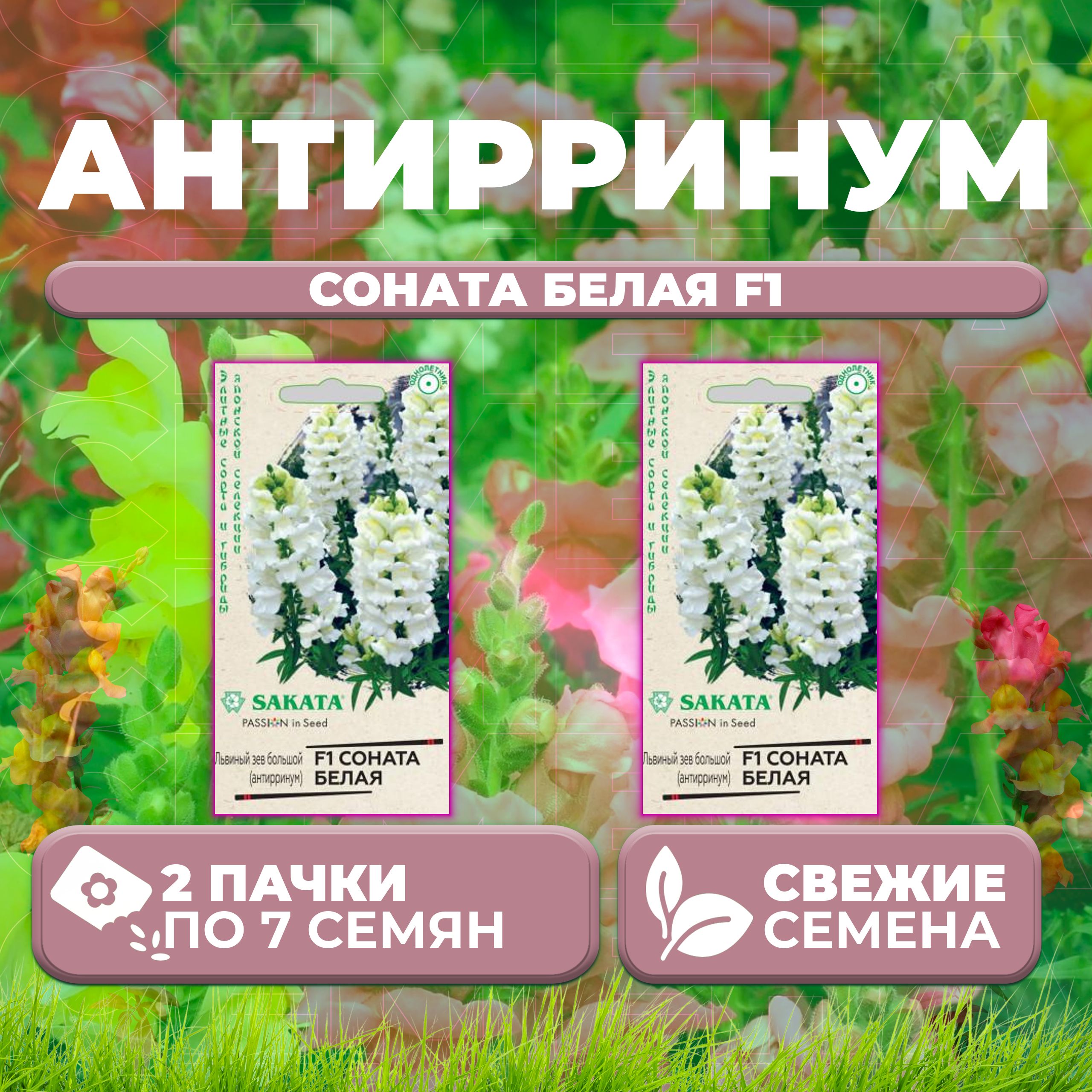 

Семена Антирринум (Львиный зев) Соната белая F1, 7шт, Гавриш, Sakata (2 уп)