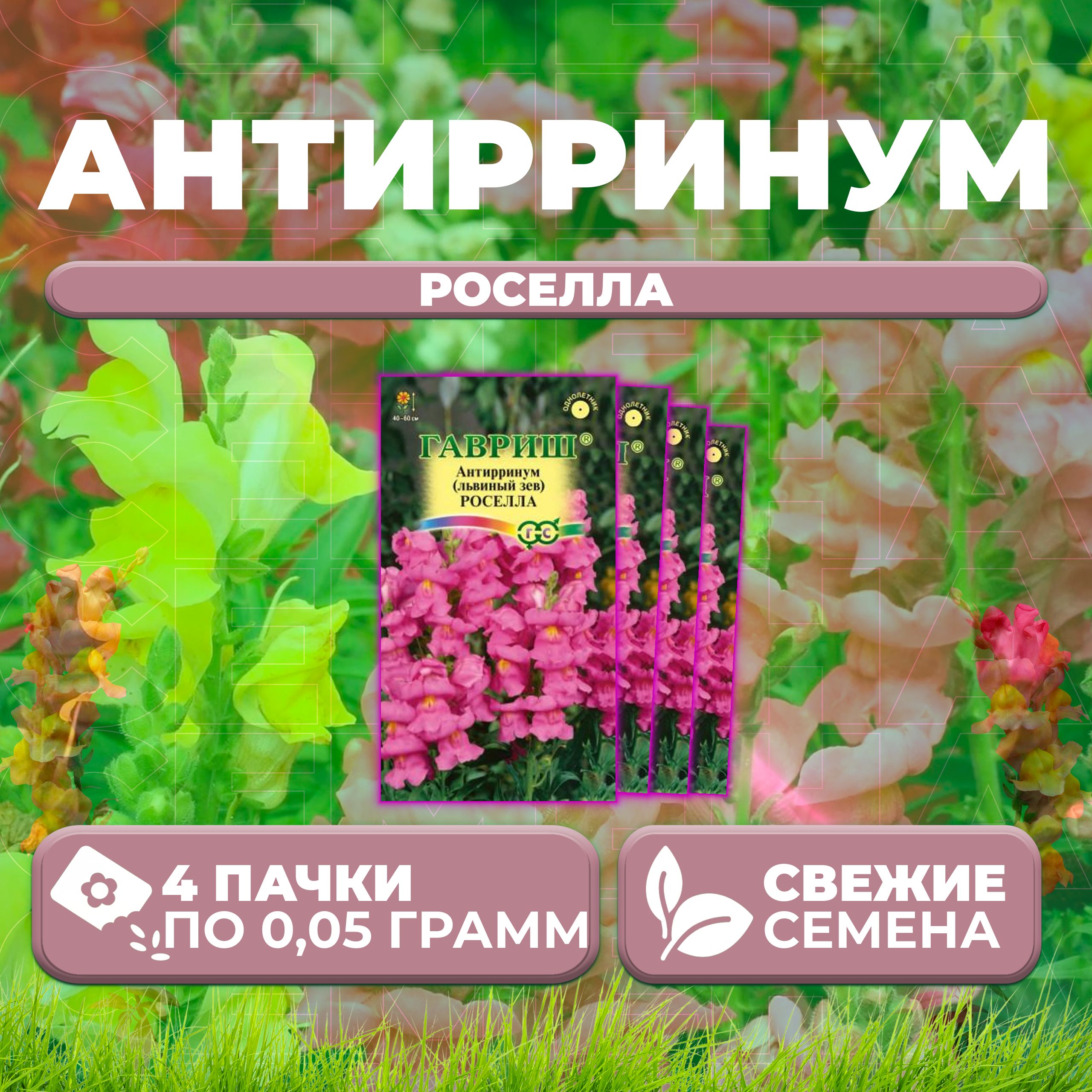 

Семена Антирринум (Львиный зев) Роселла, 0,05г, Гавриш, Цветочная коллекция (4 уп)