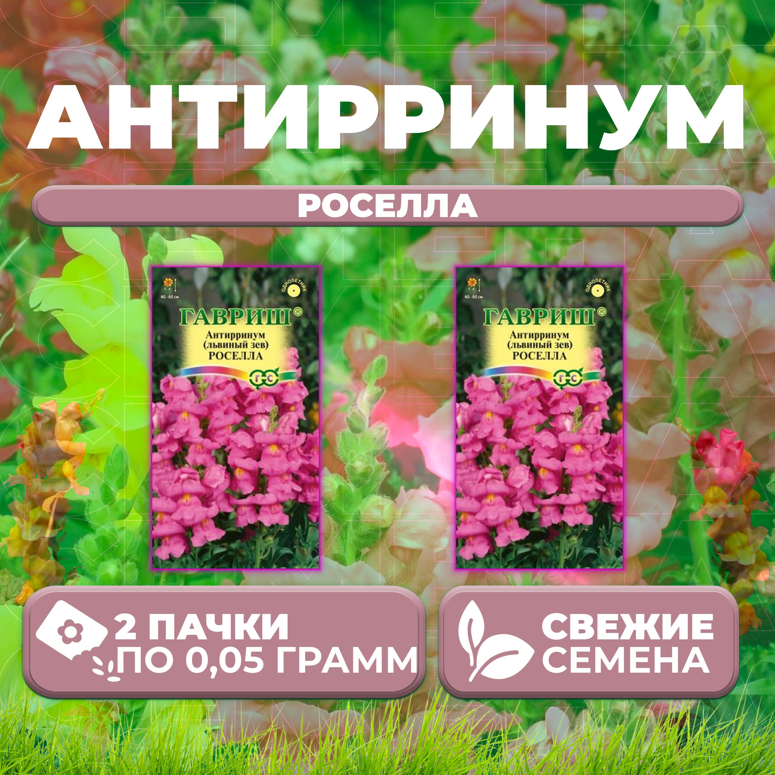 

Семена Антирринум (Львиный зев) Роселла, 0,05г, Гавриш, Цветочная коллекция (2 уп)