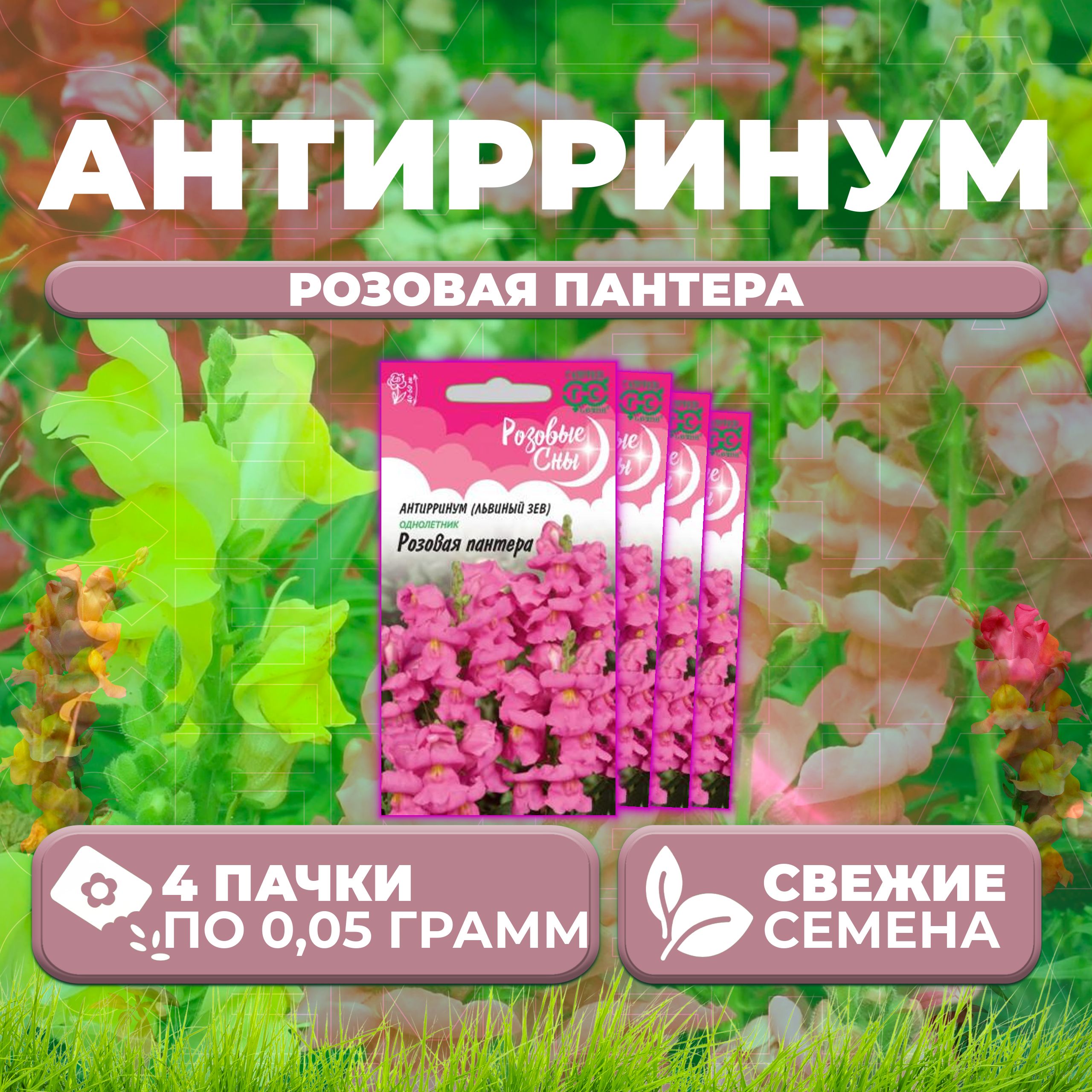 

Семена Антирринум (Львиный зев) Розовая пантера, 0,05г, Гавриш, Розовые сны (4 уп)