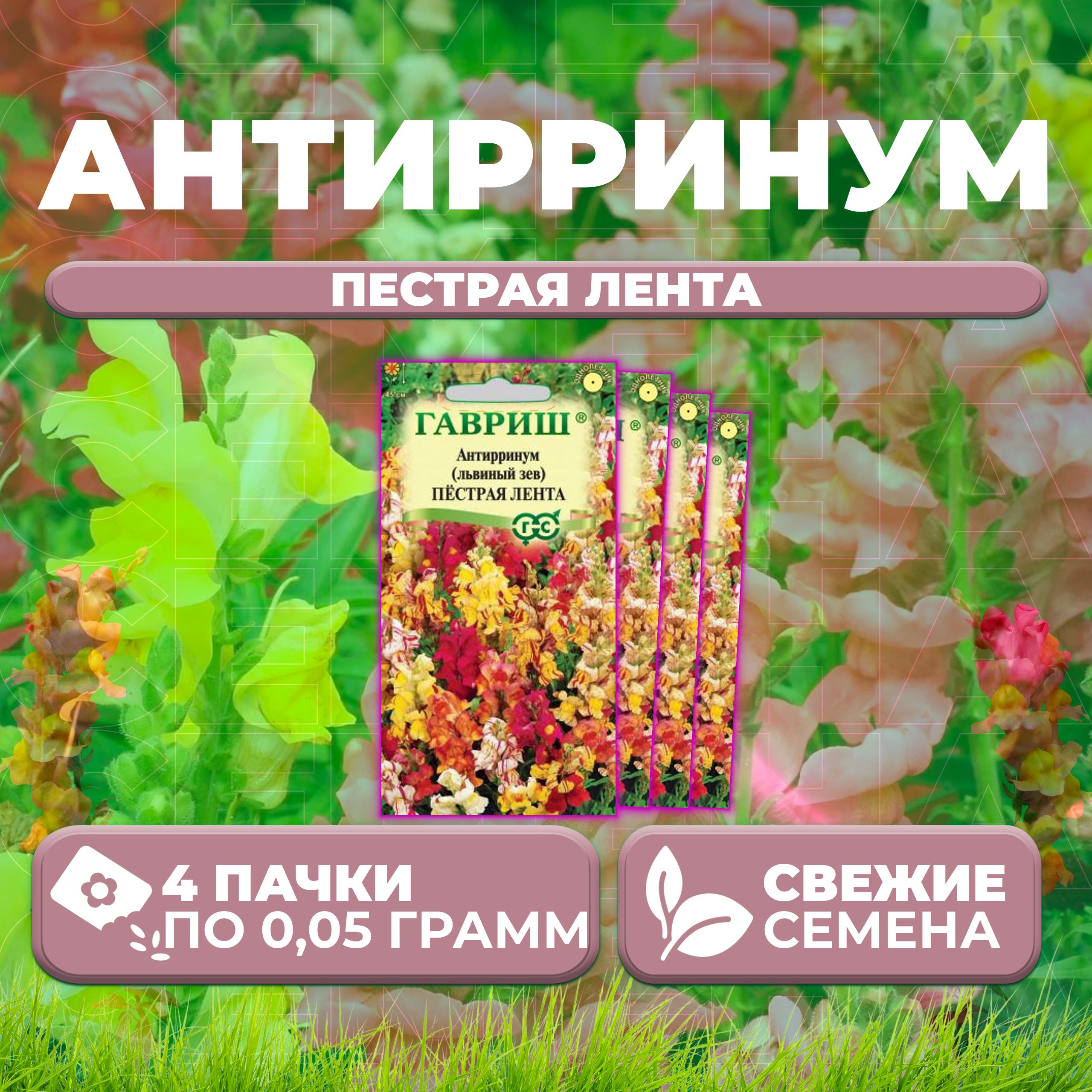 

Семена Антирринум (Львиный зев) Пестрая лента, 0,05г, Гавриш, Цветочная коллекция (4 уп)