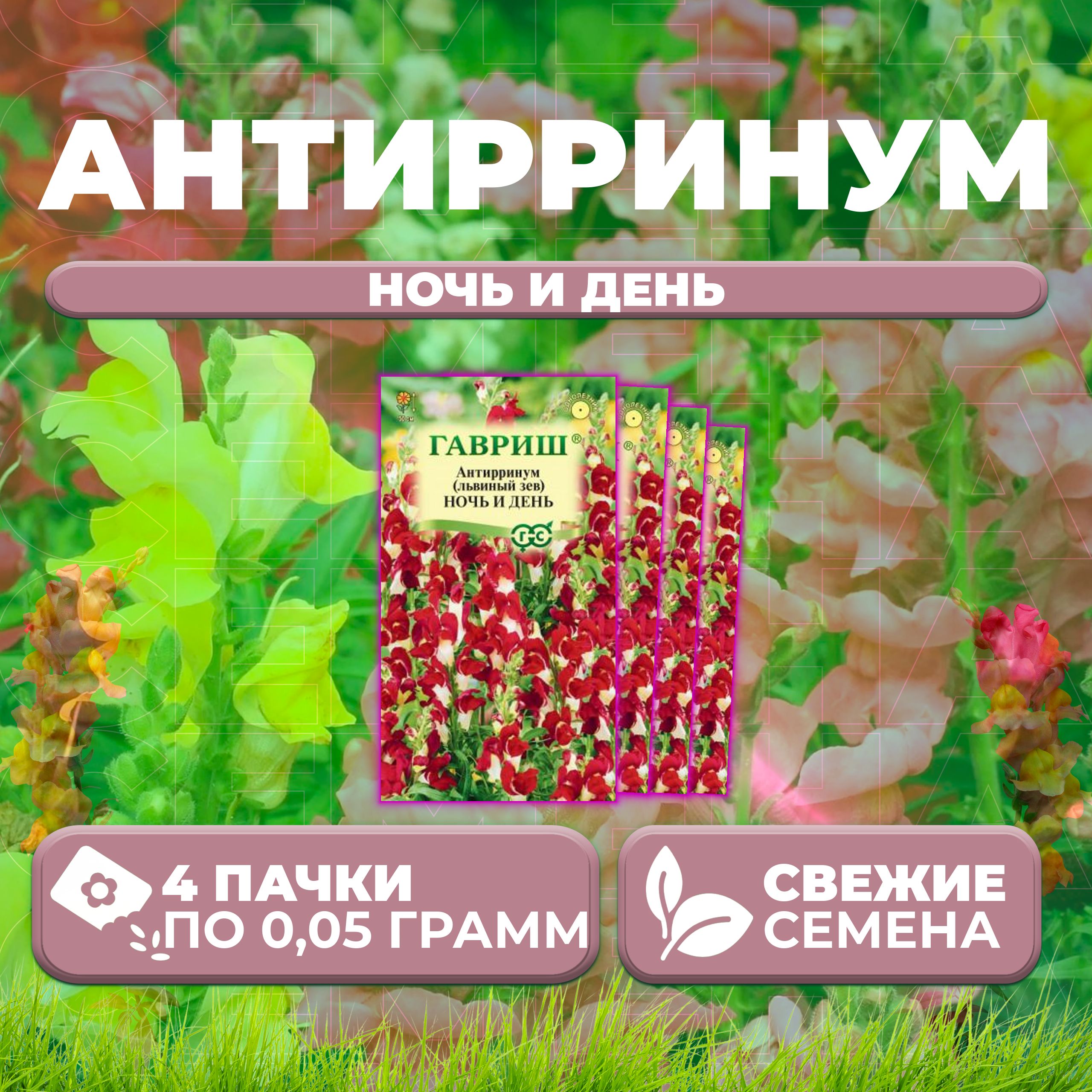 

Семена Антирринум (Львиный зев) Ночь и день, 0,05г, Гавриш, Цветочная коллекция (4 уп)
