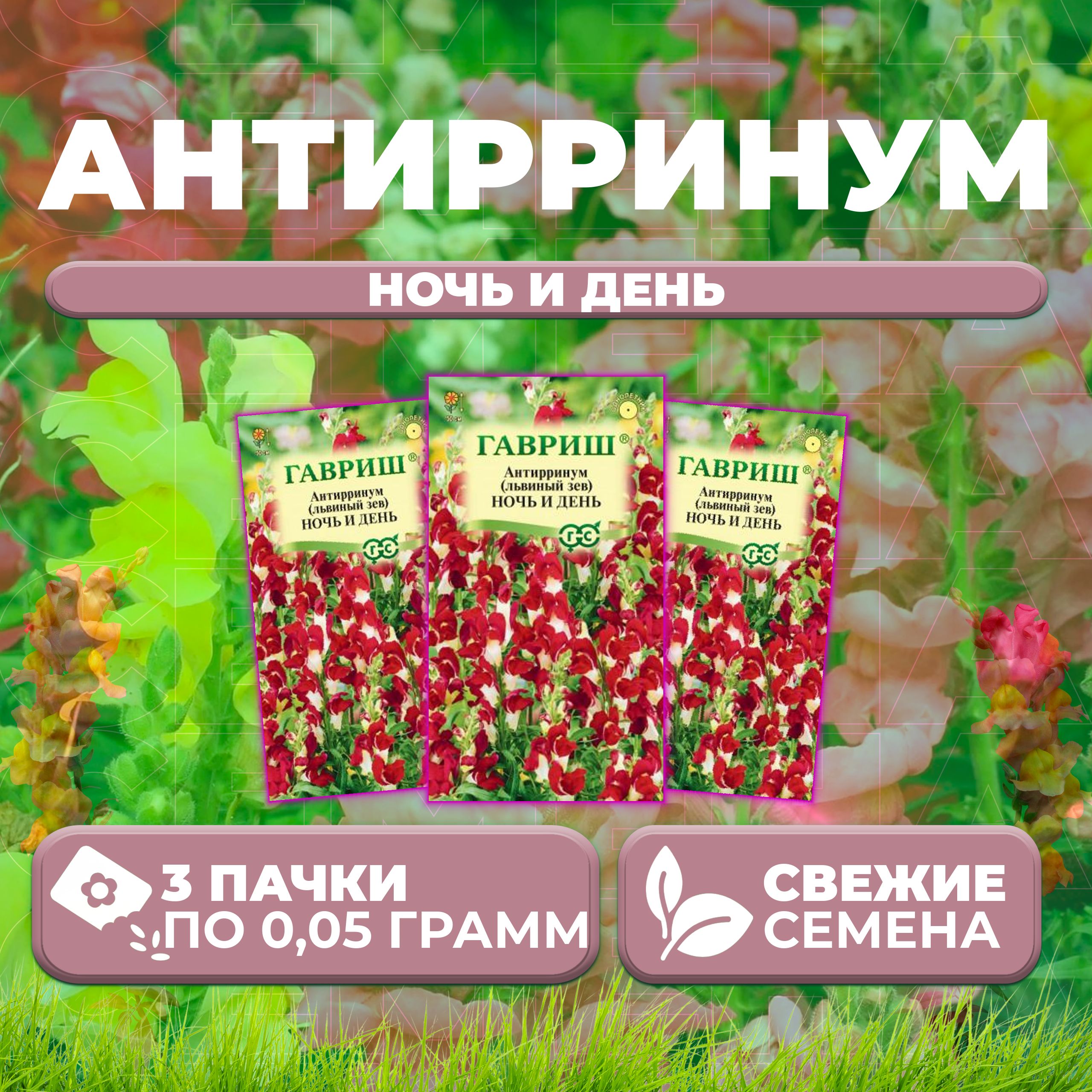 

Семена Антирринум (Львиный зев) Ночь и день, 0,05г, Гавриш, Цветочная коллекция (3 уп)