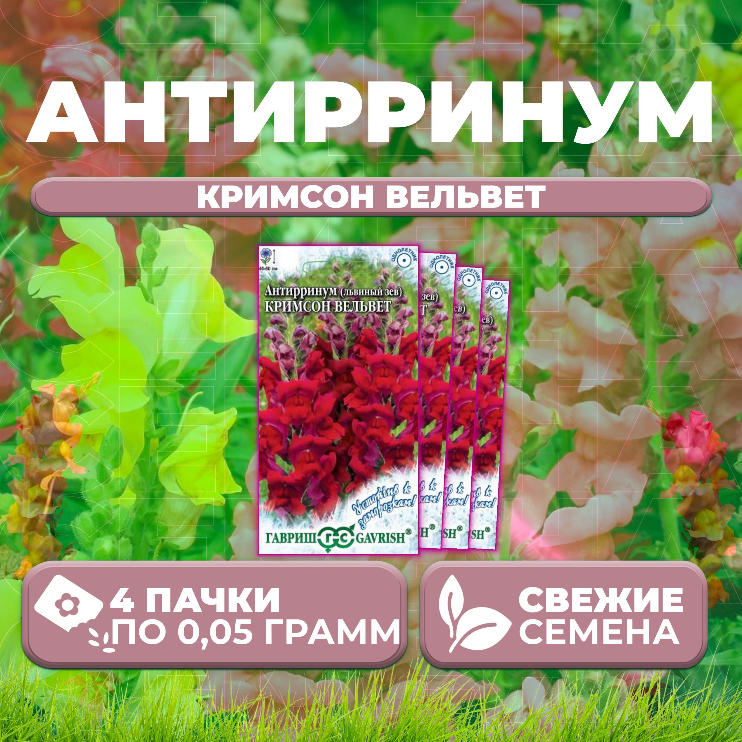 

Семена Антирринум (Львиный зев) Кримсон вельвет, 0,05г, Гавриш (4 уп)