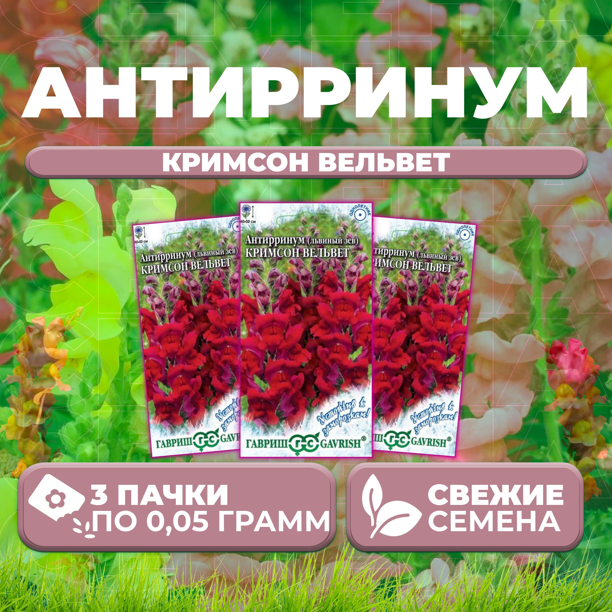 

Семена Антирринум (Львиный зев) Кримсон вельвет, 0,05г, Гавриш (3 уп)