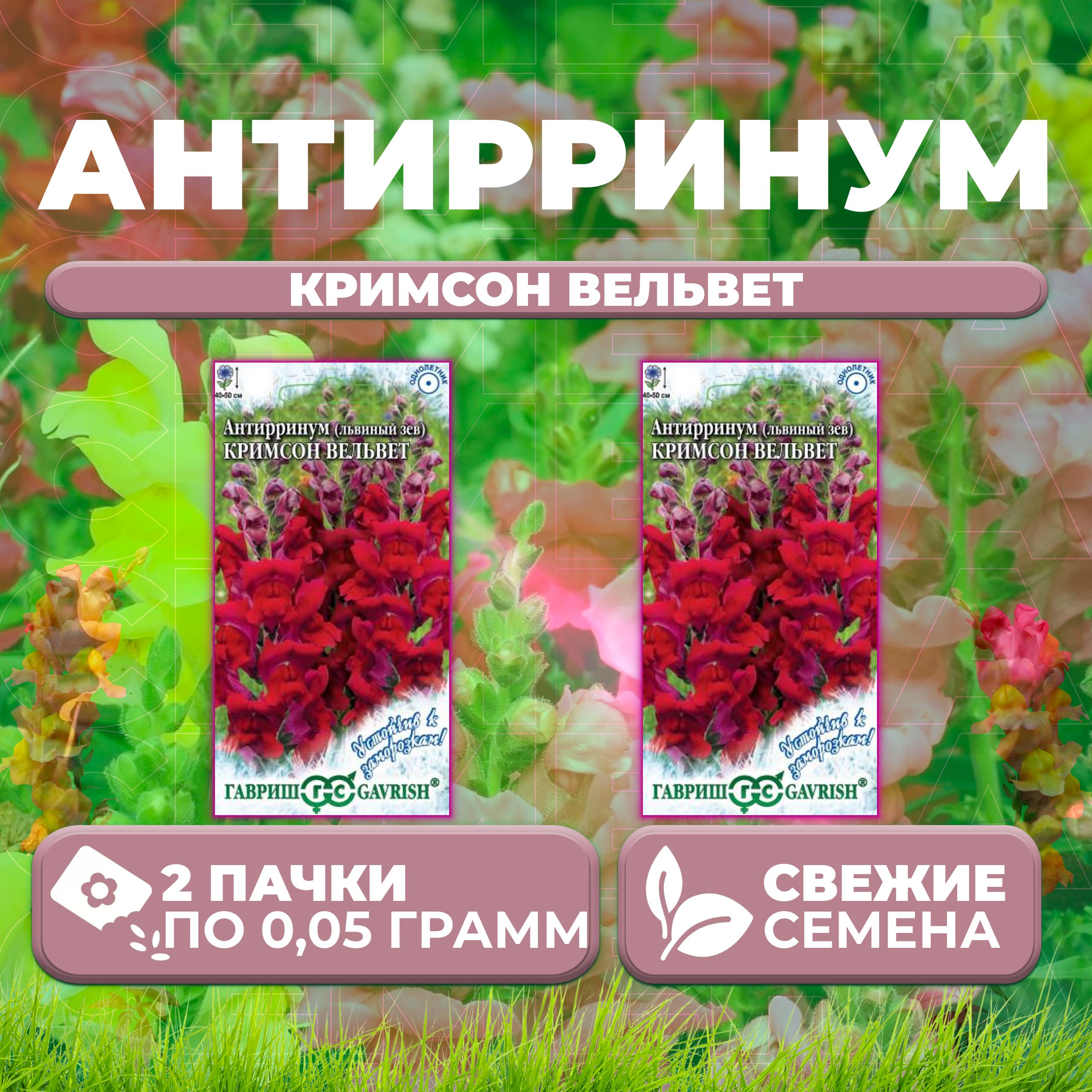 

Семена Антирринум (Львиный зев) Кримсон вельвет, 0,05г, Гавриш (2 уп)