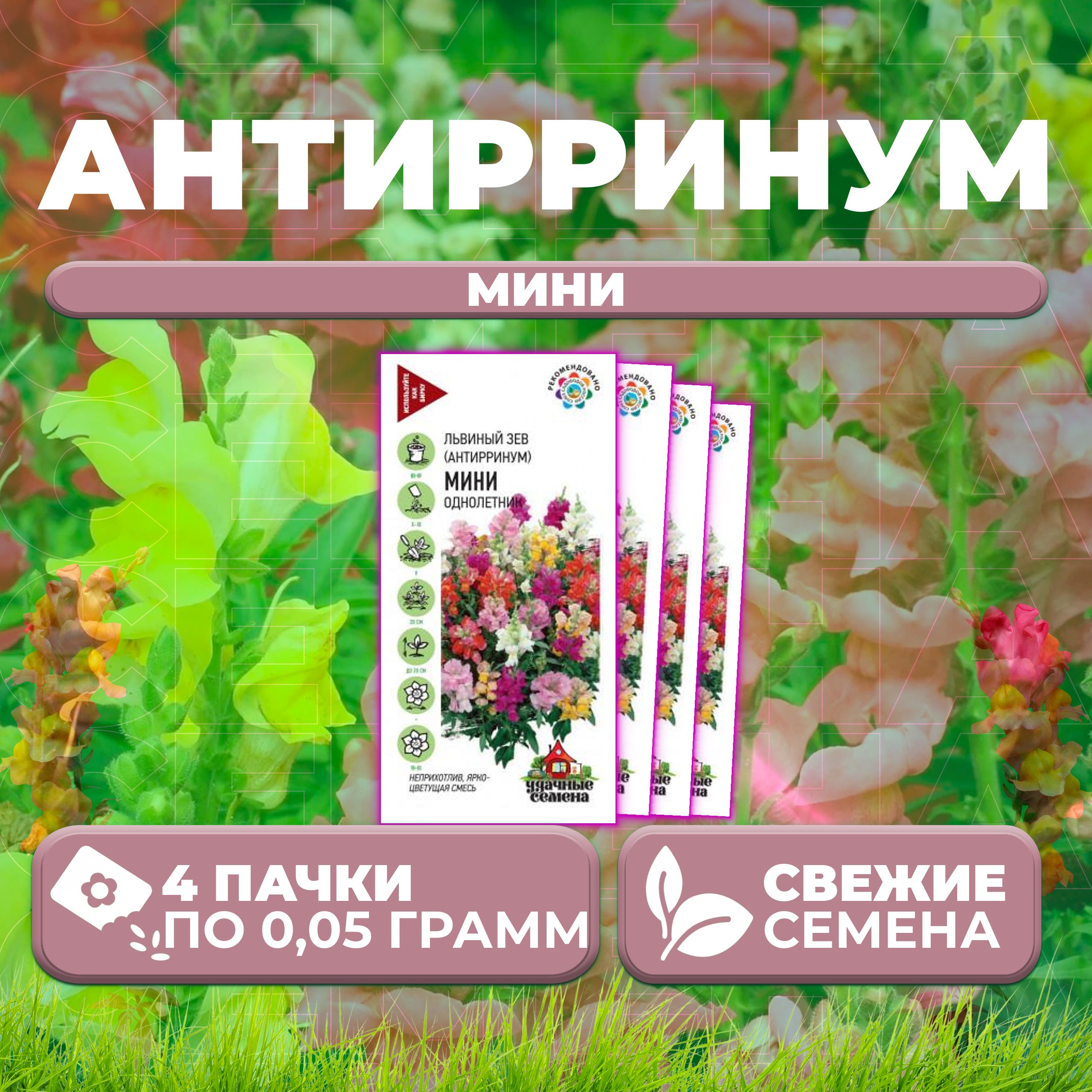 

Семена Антирринум (Львиный зев) Мини, смесь, 0,05г, Удачные семена (4 уп)