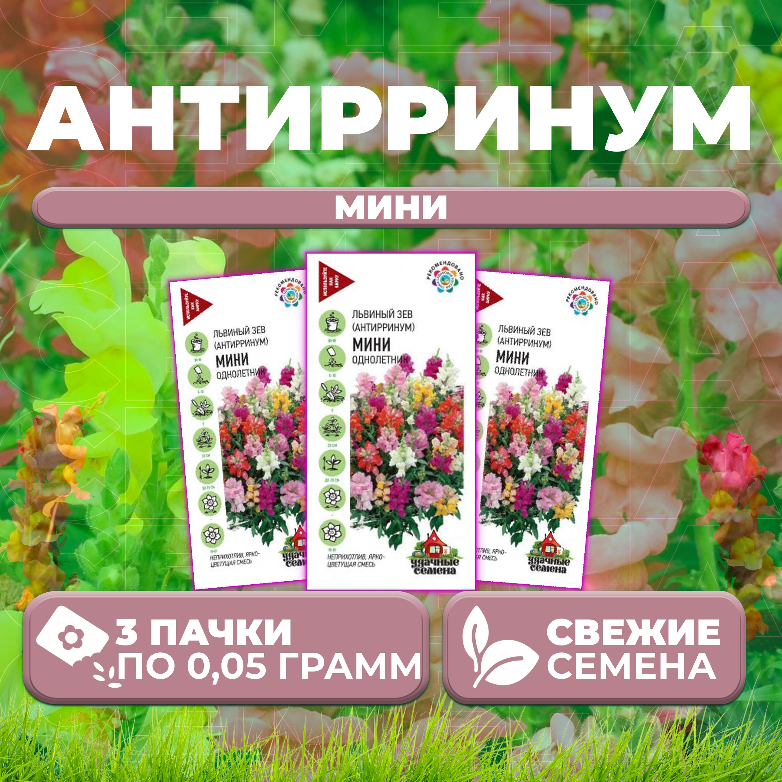 

Семена Антирринум (Львиный зев) Мини, смесь, 0,05г, Удачные семена (3 уп)