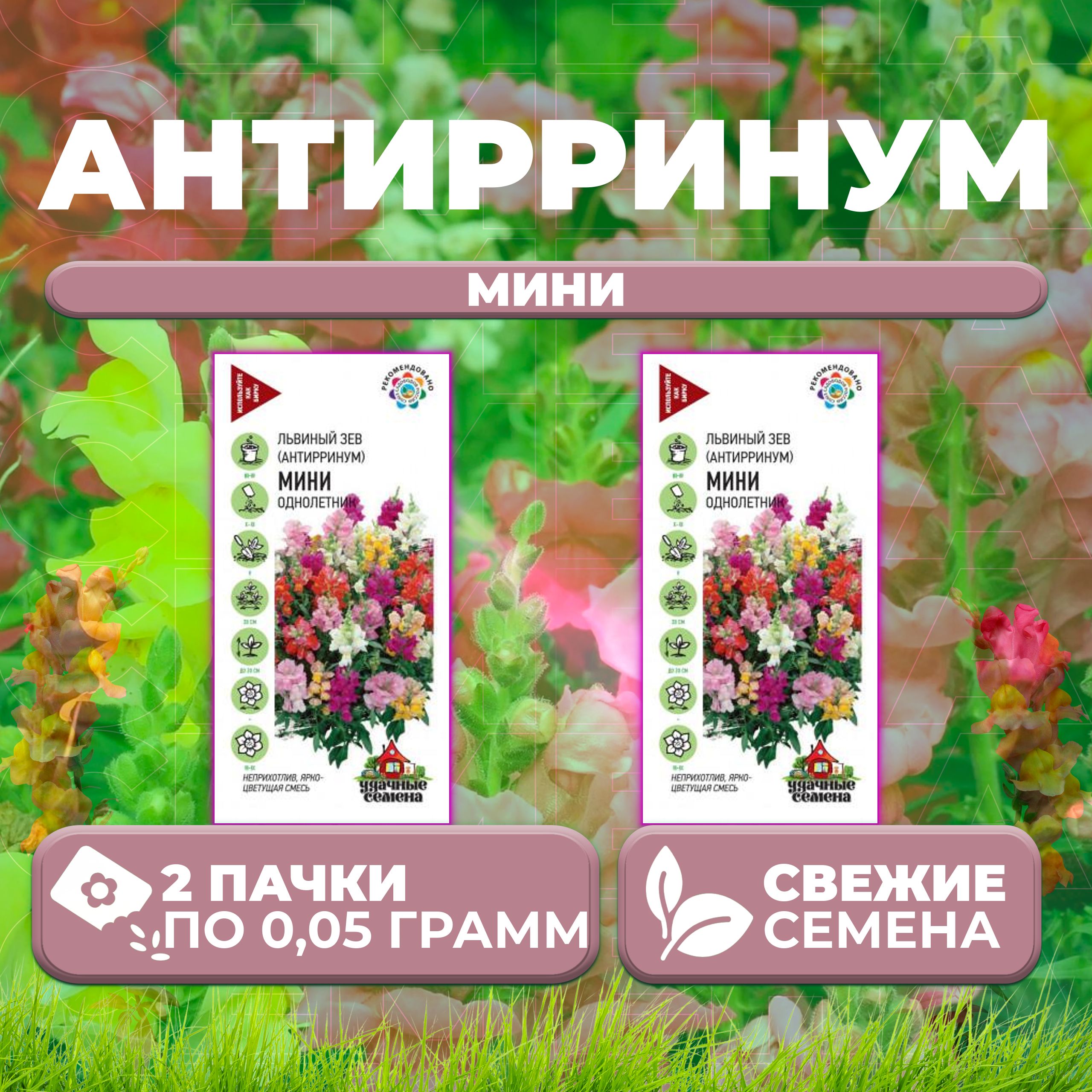 

Семена Антирринум (Львиный зев) Мини, смесь, 0,05г, Удачные семена (2 уп)
