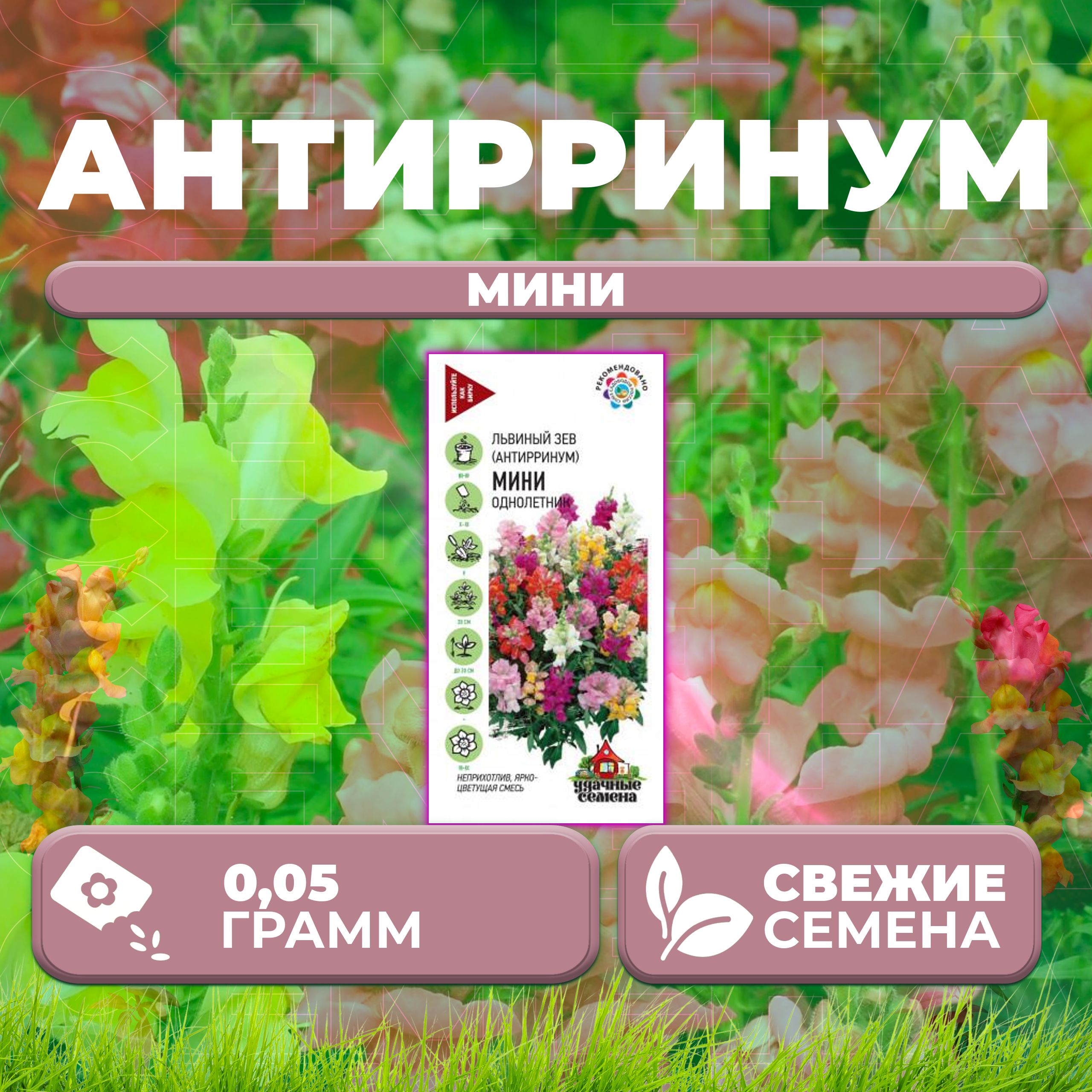 Семена Антирринум (Львиный зев) Мини, смесь, 0,05г, Удачные семена (1 уп) 600018545264