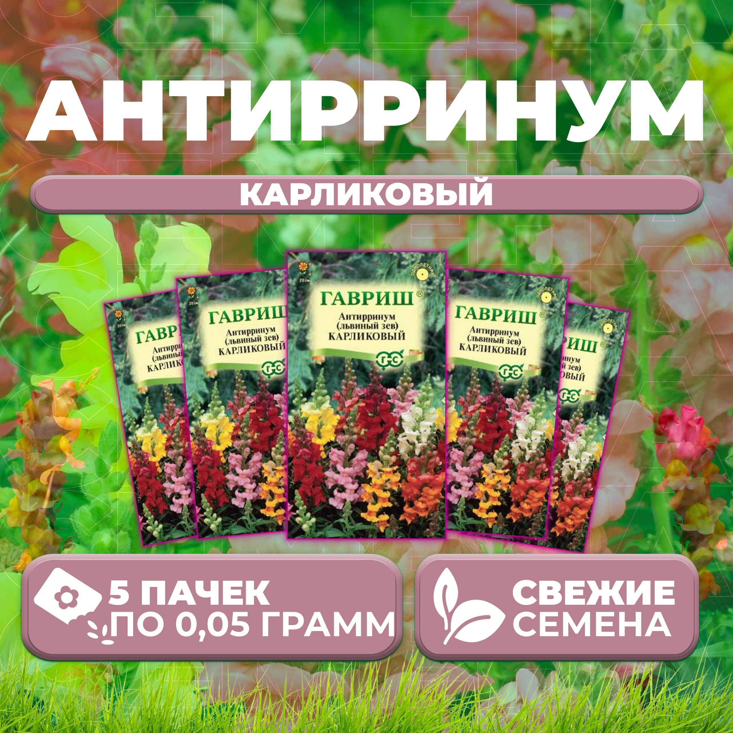 

Семена Антирринум (Львиный зев) карликовый, смесь, 0,05г, Гавриш (5 уп)