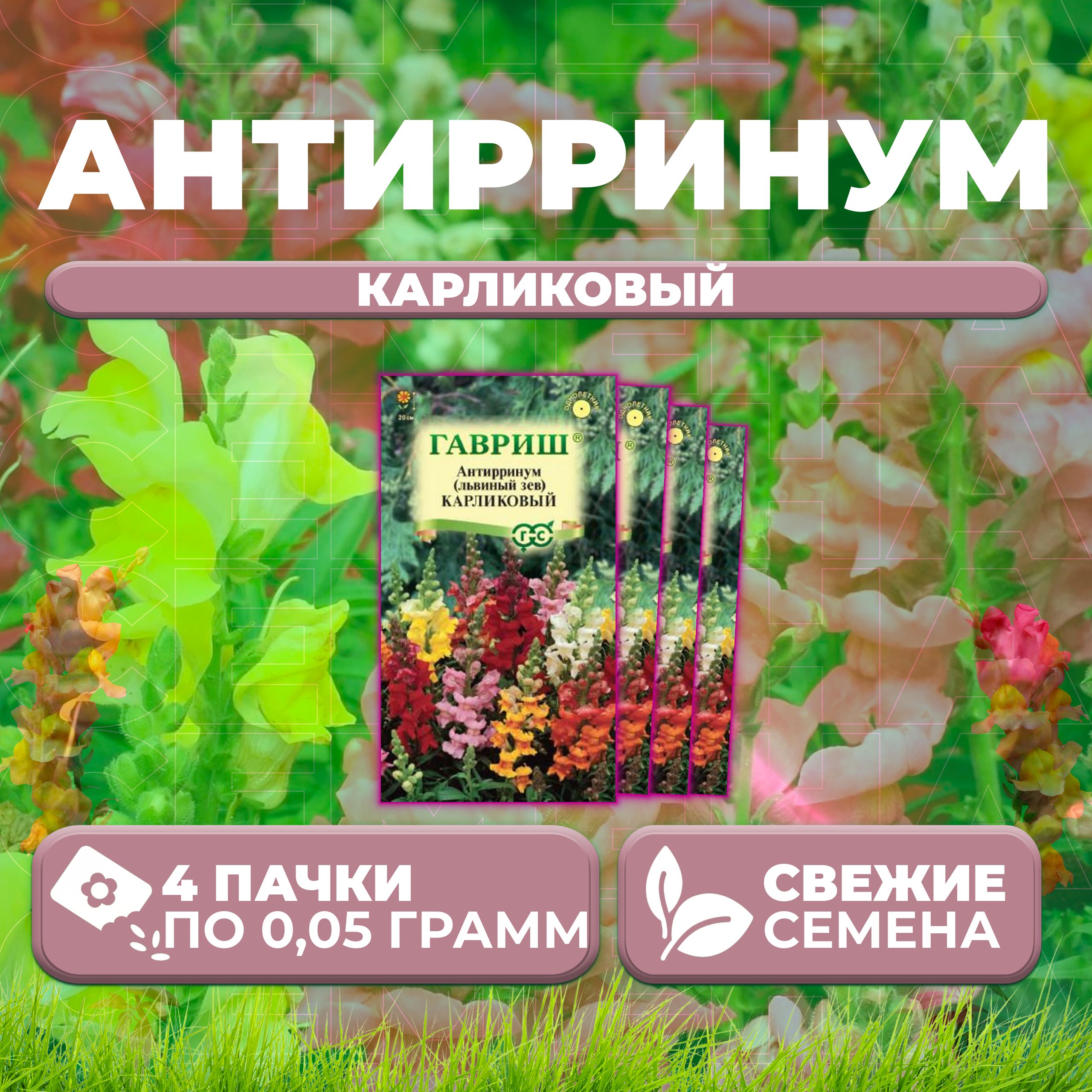 

Семена Антирринум (Львиный зев) карликовый, смесь, 0,05г, Гавриш (4 уп)