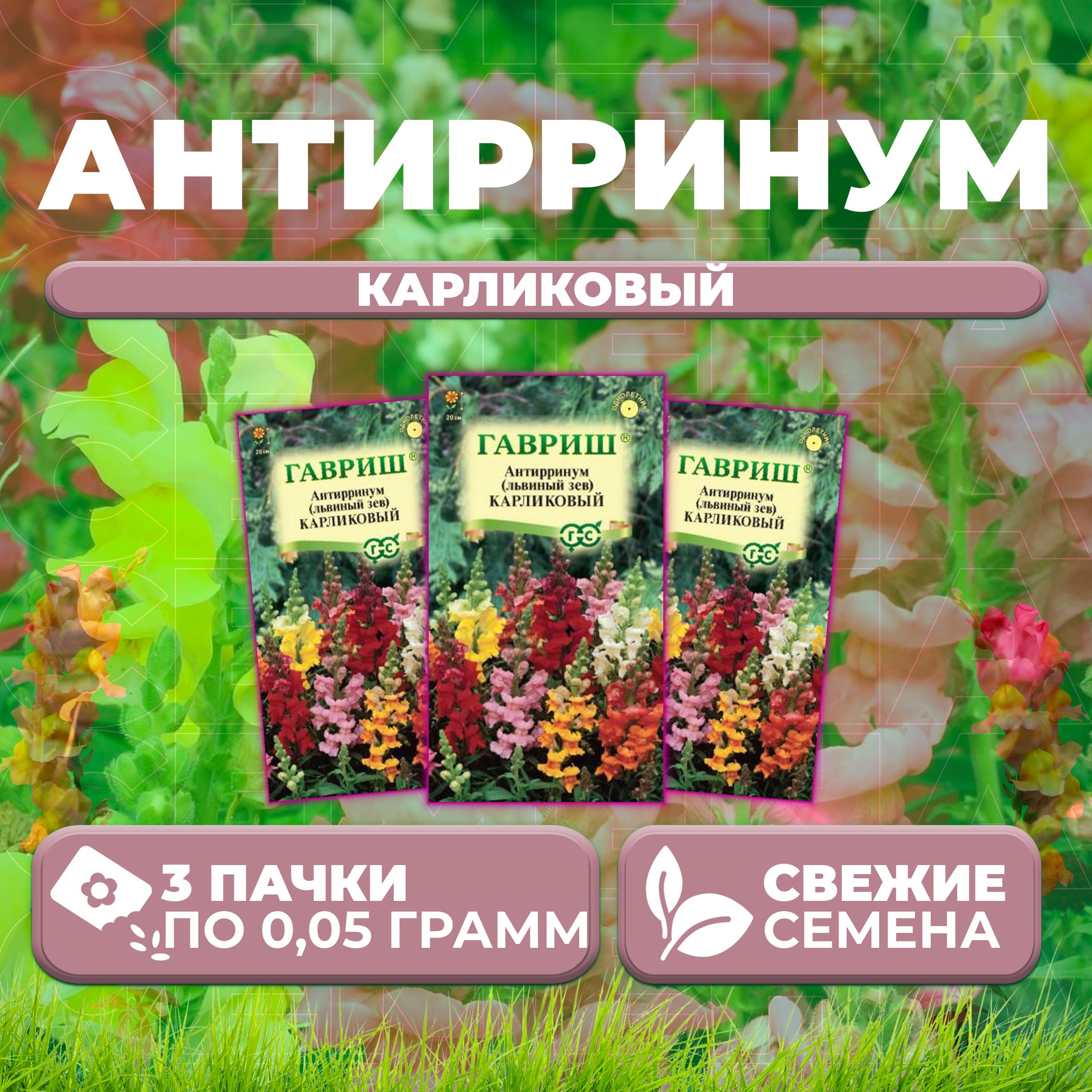 

Семена Антирринум (Львиный зев) карликовый, смесь, 0,05г, Гавриш (3 уп)