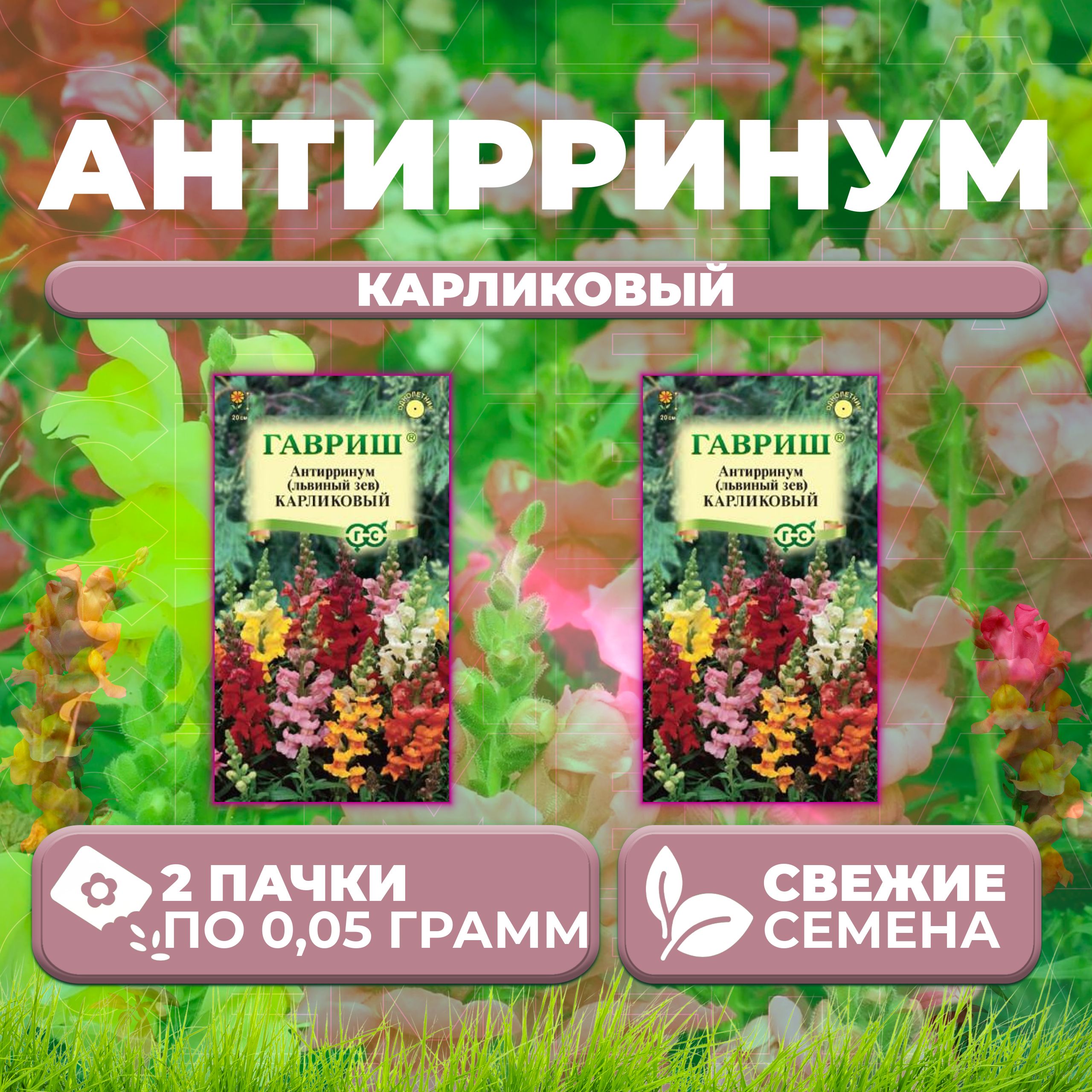 

Семена Антирринум (Львиный зев) карликовый, смесь, 0,05г, Гавриш (2 уп)