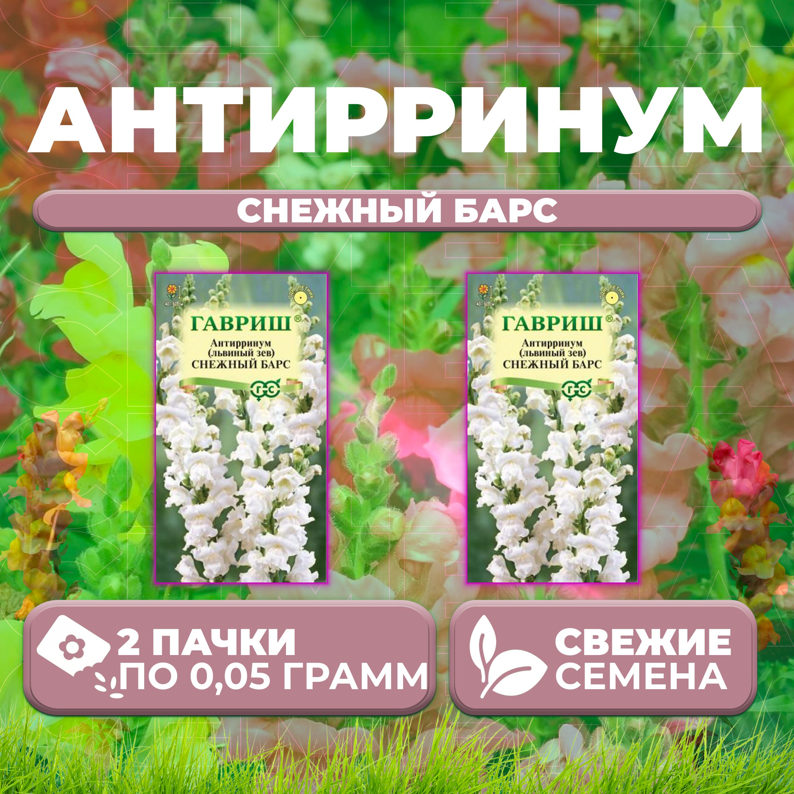 

Семена Антирринум (Львиный зев) Снежный барс, 0,05г, Гавриш, Цветочная коллекция (2 уп)