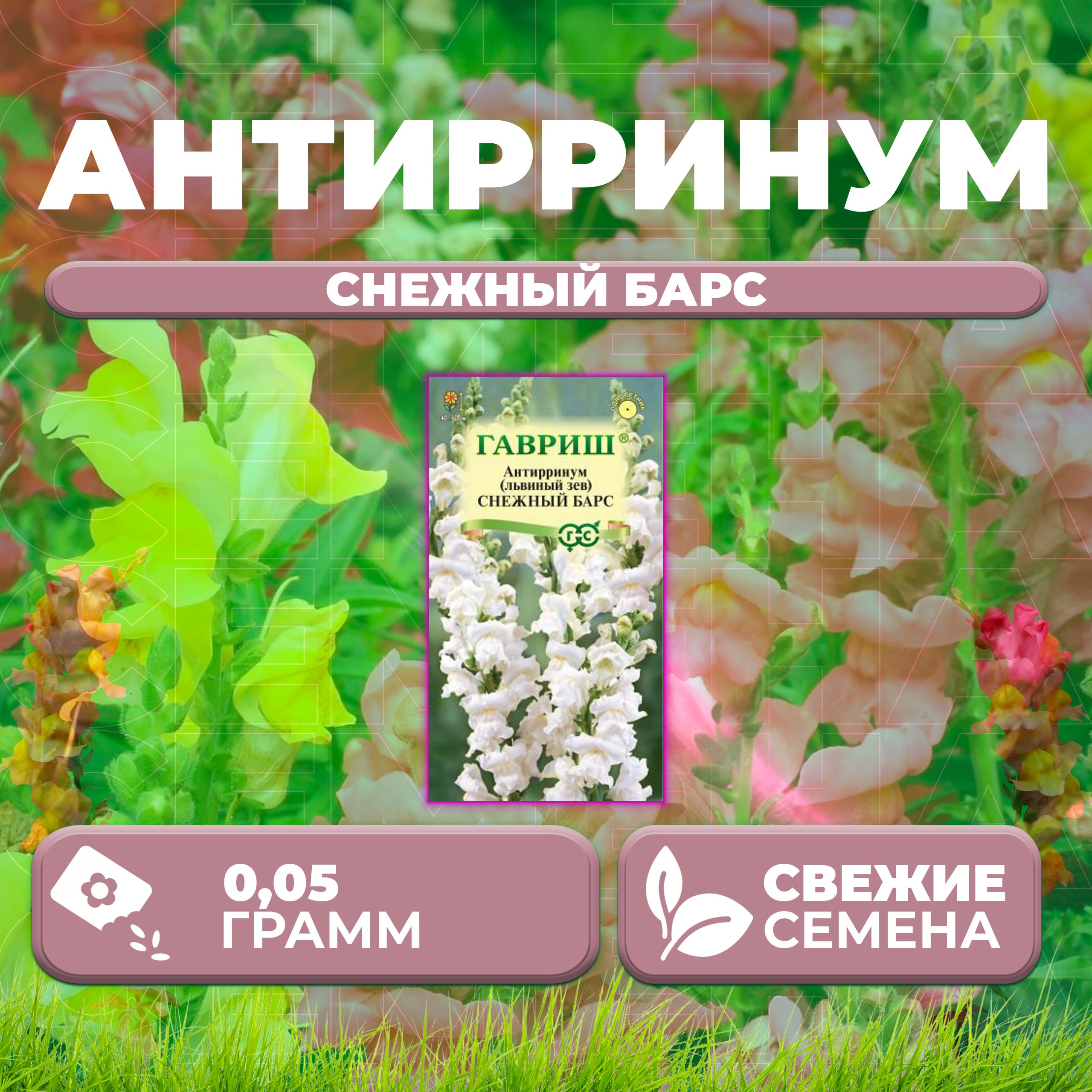 

Семена Антирринум (Львиный зев) Снежный барс, 0,05г, Гавриш, Цветочная коллекция (1 уп)