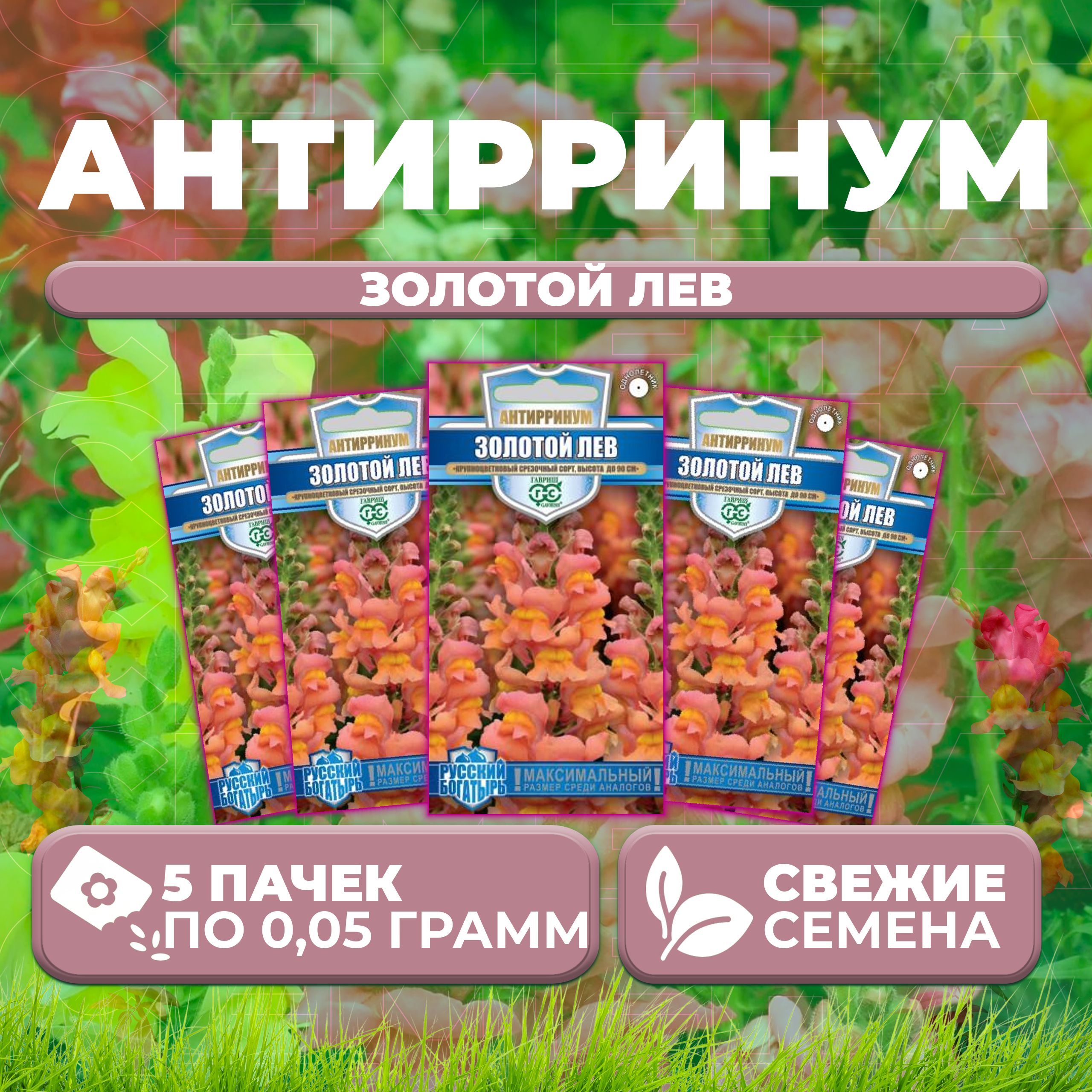 

Семена Антирринум (Львиный зев) Золотой лев, 0,05г, Гавриш, Русский богатырь (5 уп)