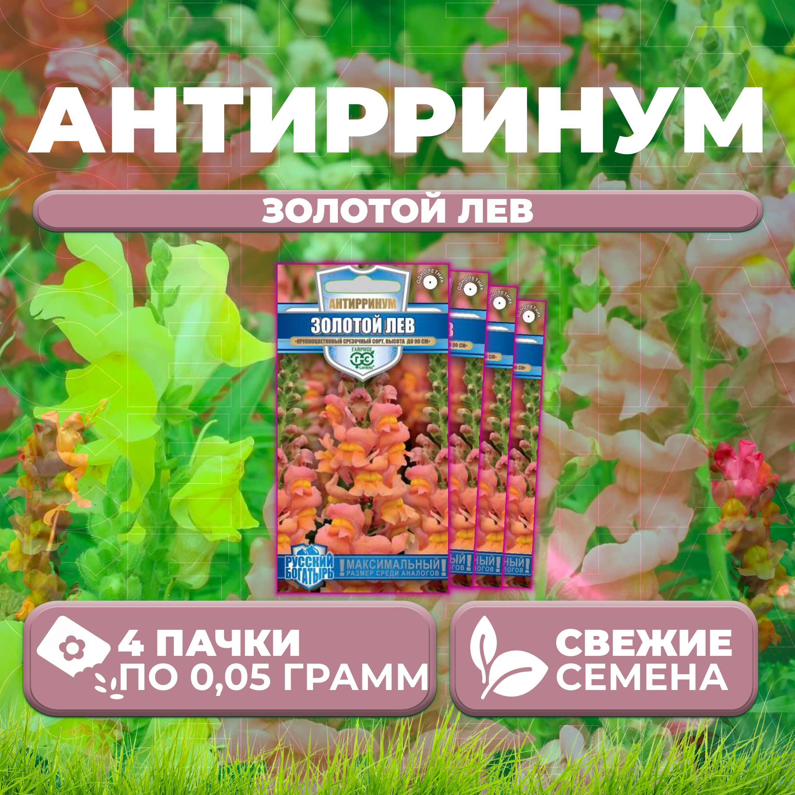 

Семена Антирринум (Львиный зев) Золотой лев, 0,05г, Гавриш, Русский богатырь (4 уп)
