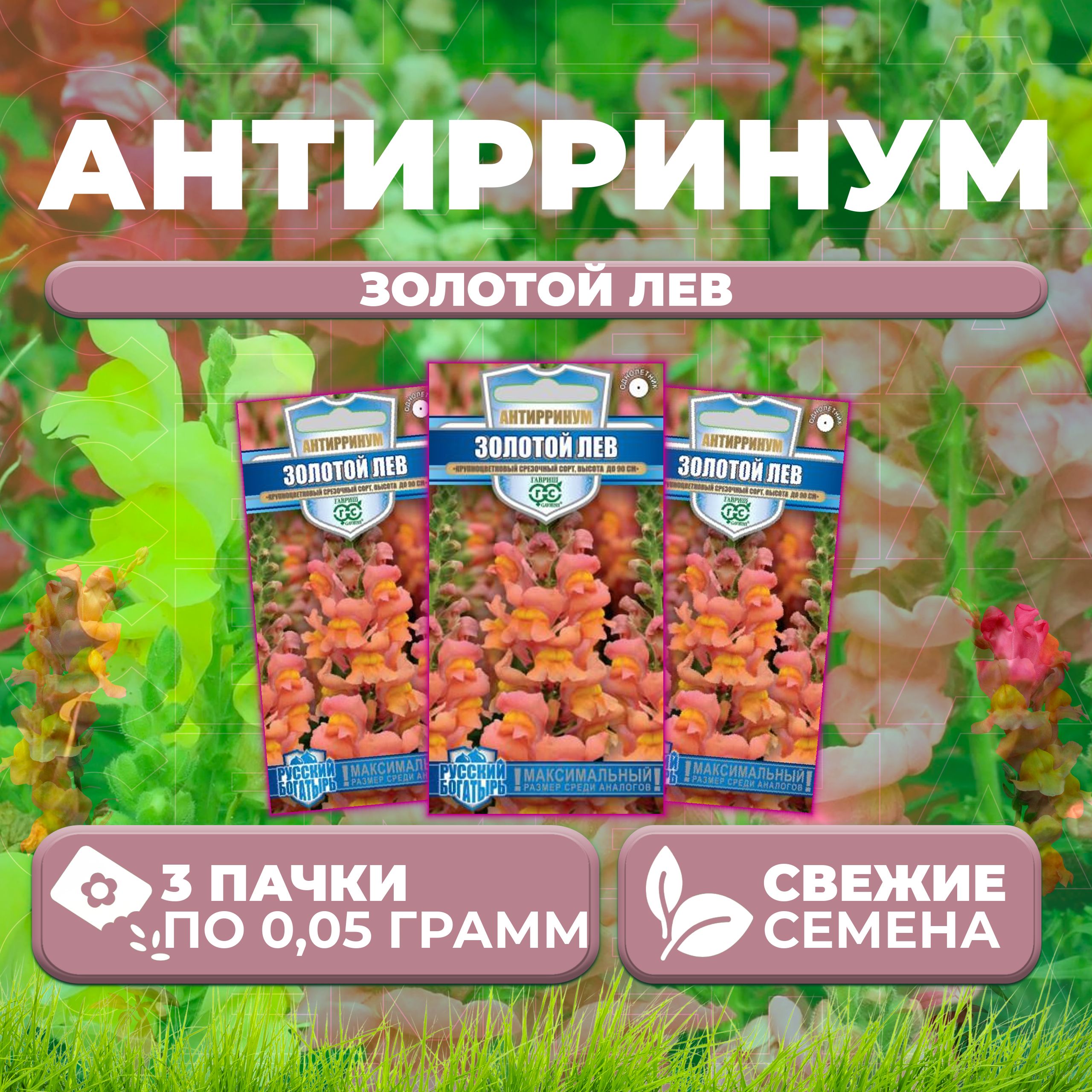 

Семена Антирринум (Львиный зев) Золотой лев, 0,05г, Гавриш, Русский богатырь (3 уп)