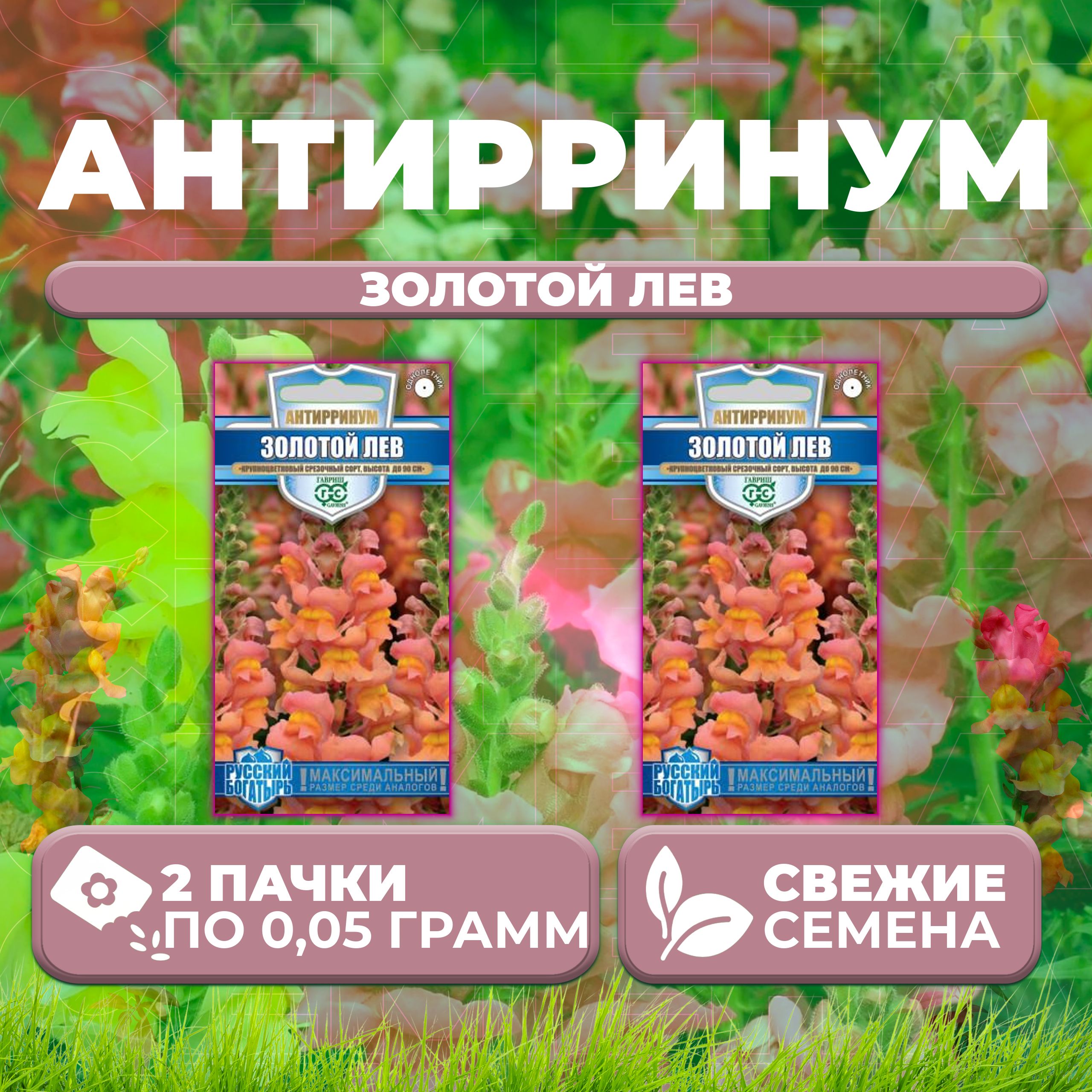 

Семена Антирринум (Львиный зев) Золотой лев, 0,05г, Гавриш, Русский богатырь (2 уп)