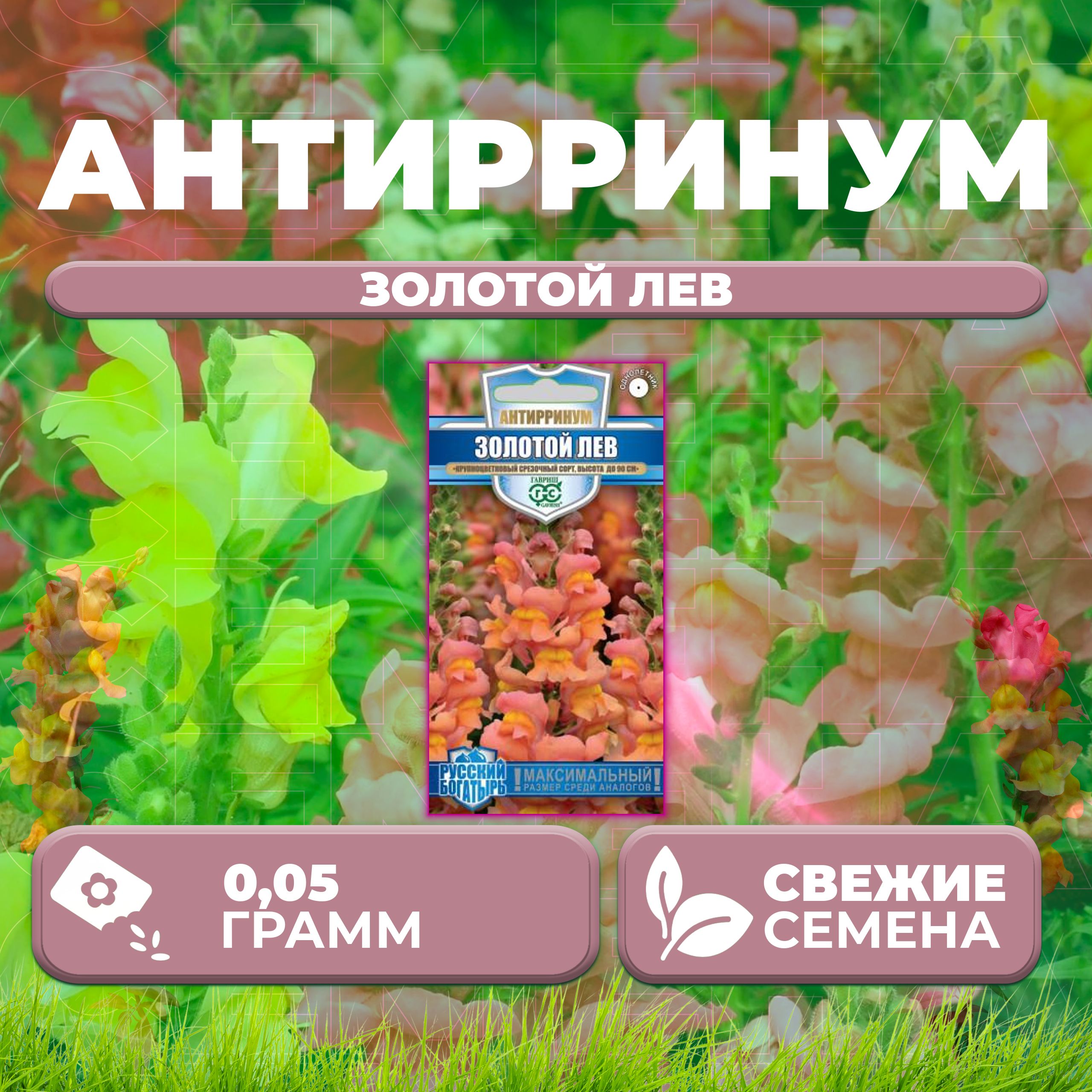 

Семена Антирринум (Львиный зев) Золотой лев, 0,05г, Гавриш, Русский богатырь (1 уп)
