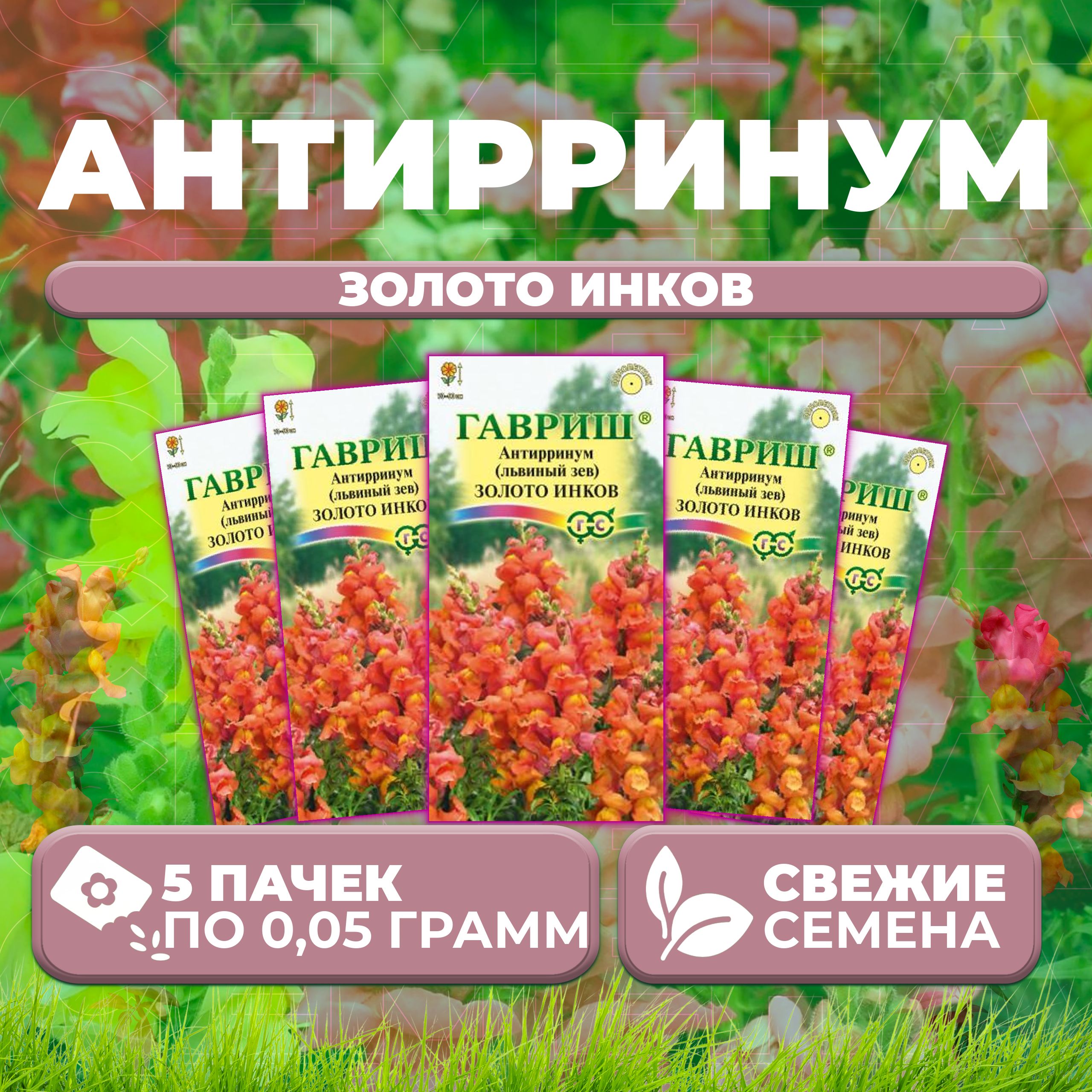 

Семена Антирринум (Львиный зев) Золото инков, 0,05г, Гавриш, Цветочная коллекция (5 уп)