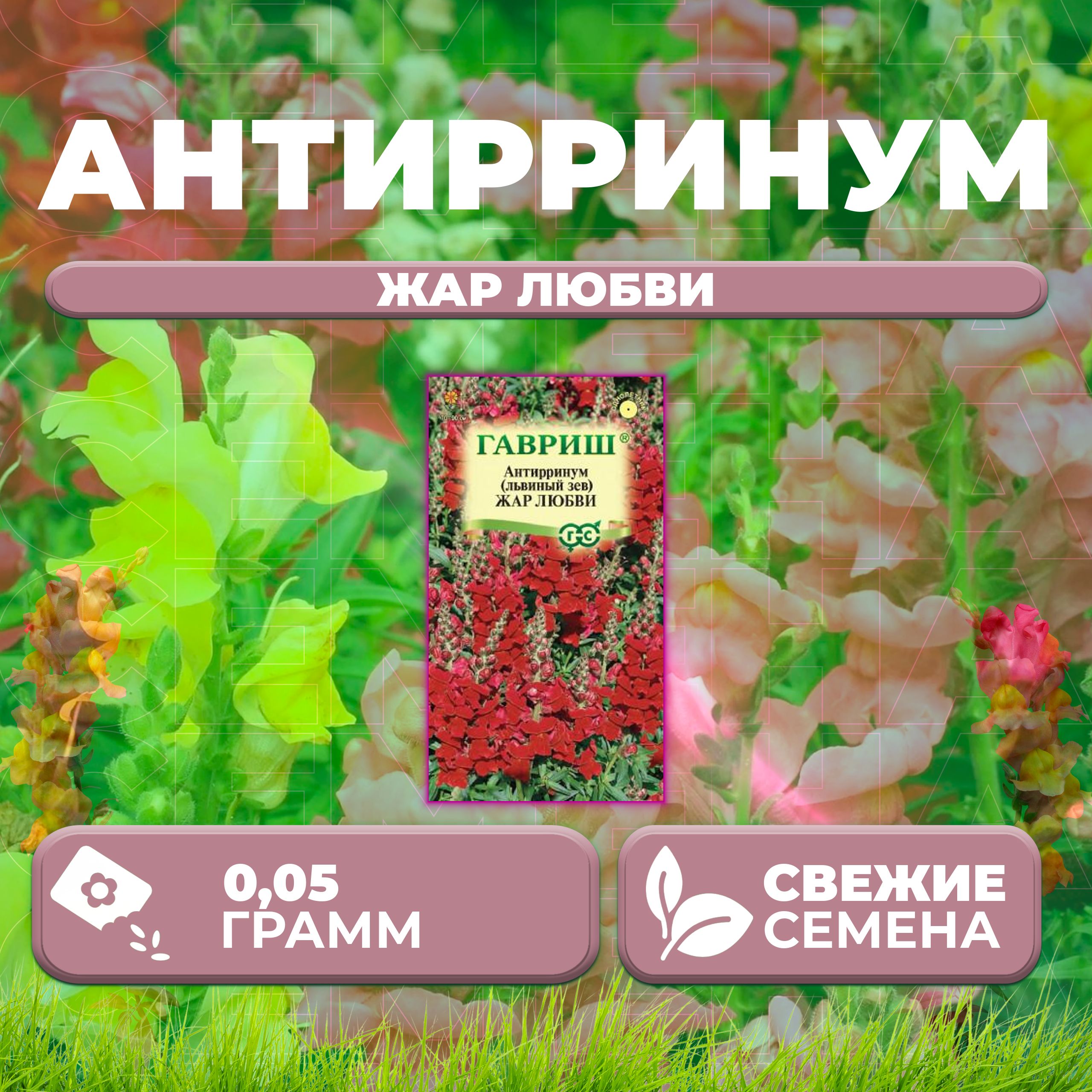

Семена Антирринум (Львиный зев) Жар любви, 0,05г, Гавриш, Цветочная коллекция (1 уп)