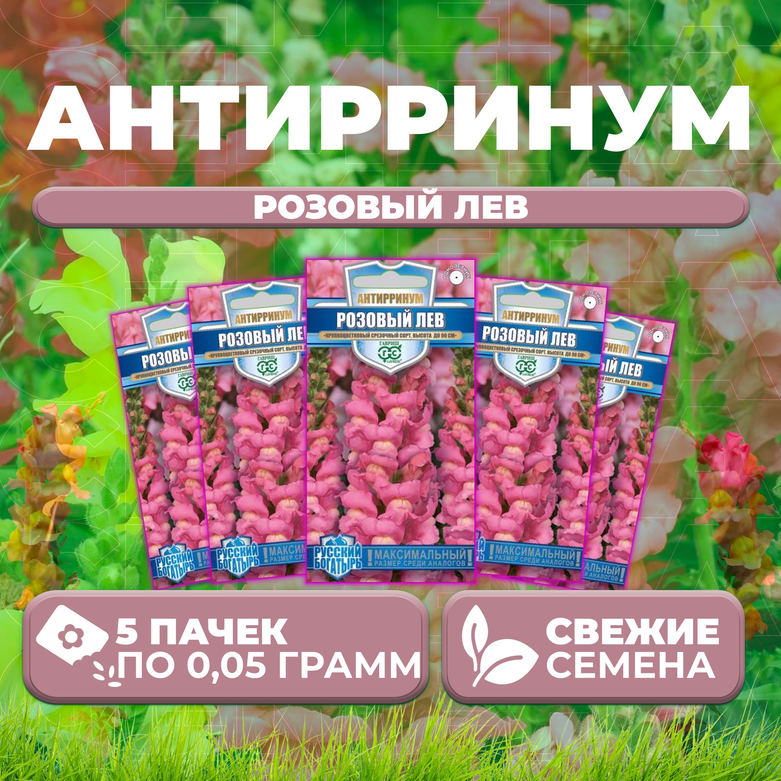 

Семена Антирринум (Львиный зев) Розовый лев, 0,05г, Гавриш, Русский богатырь (5 уп)