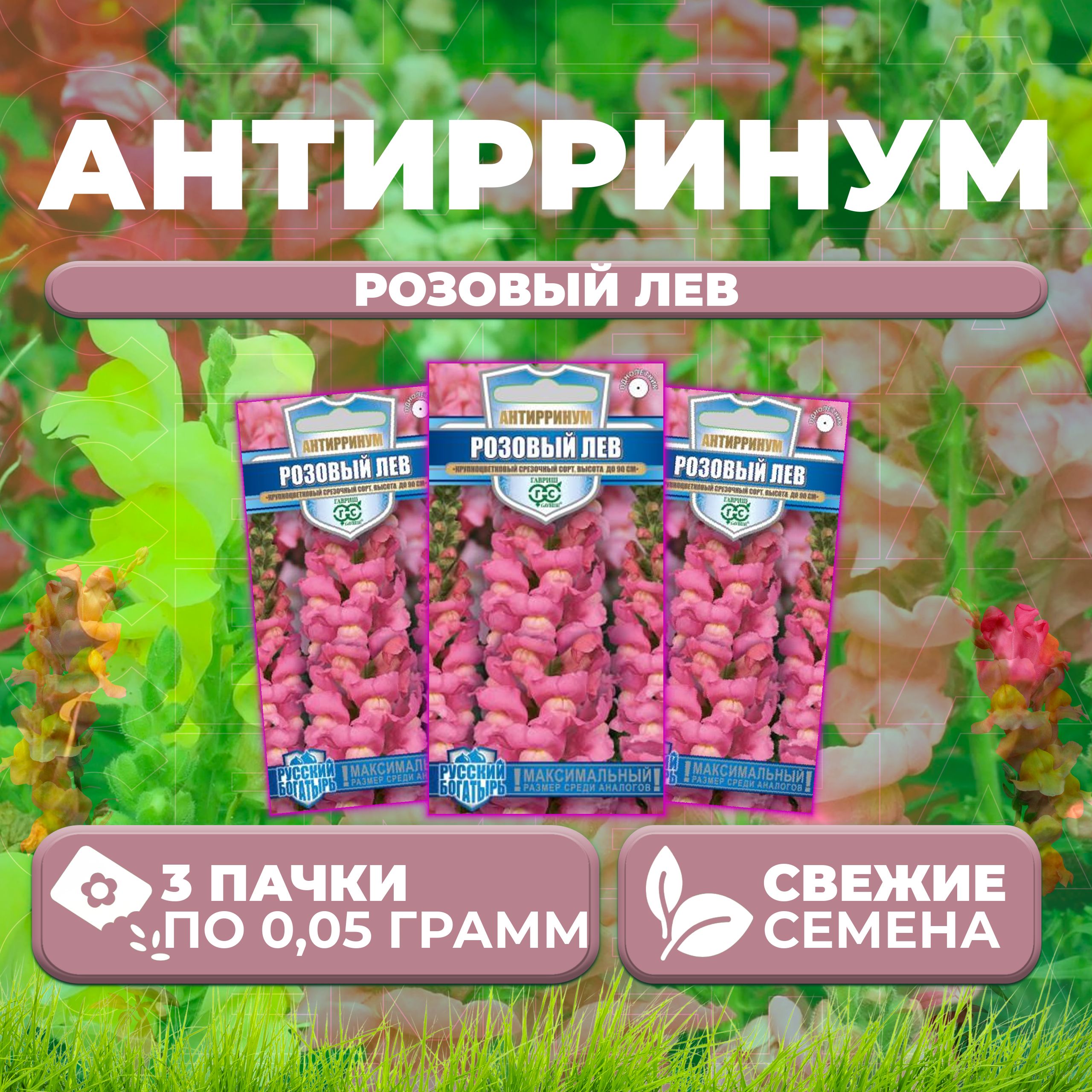 

Семена Антирринум (Львиный зев) Розовый лев, 0,05г, Гавриш, Русский богатырь (3 уп)