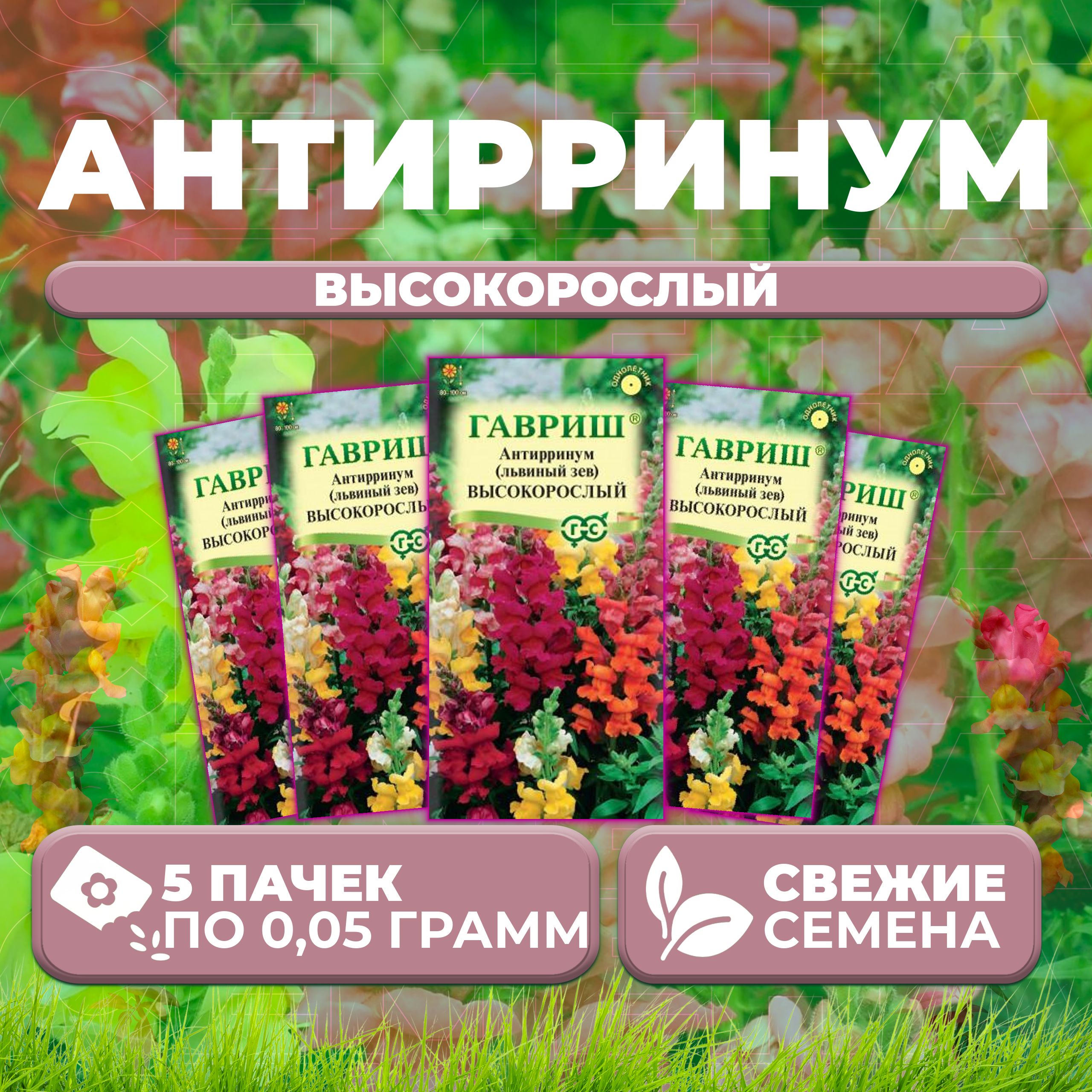 

Семена Антирринум (Львиный зев) высокорослый, смесь, 0,05г, Гавриш (5 уп)