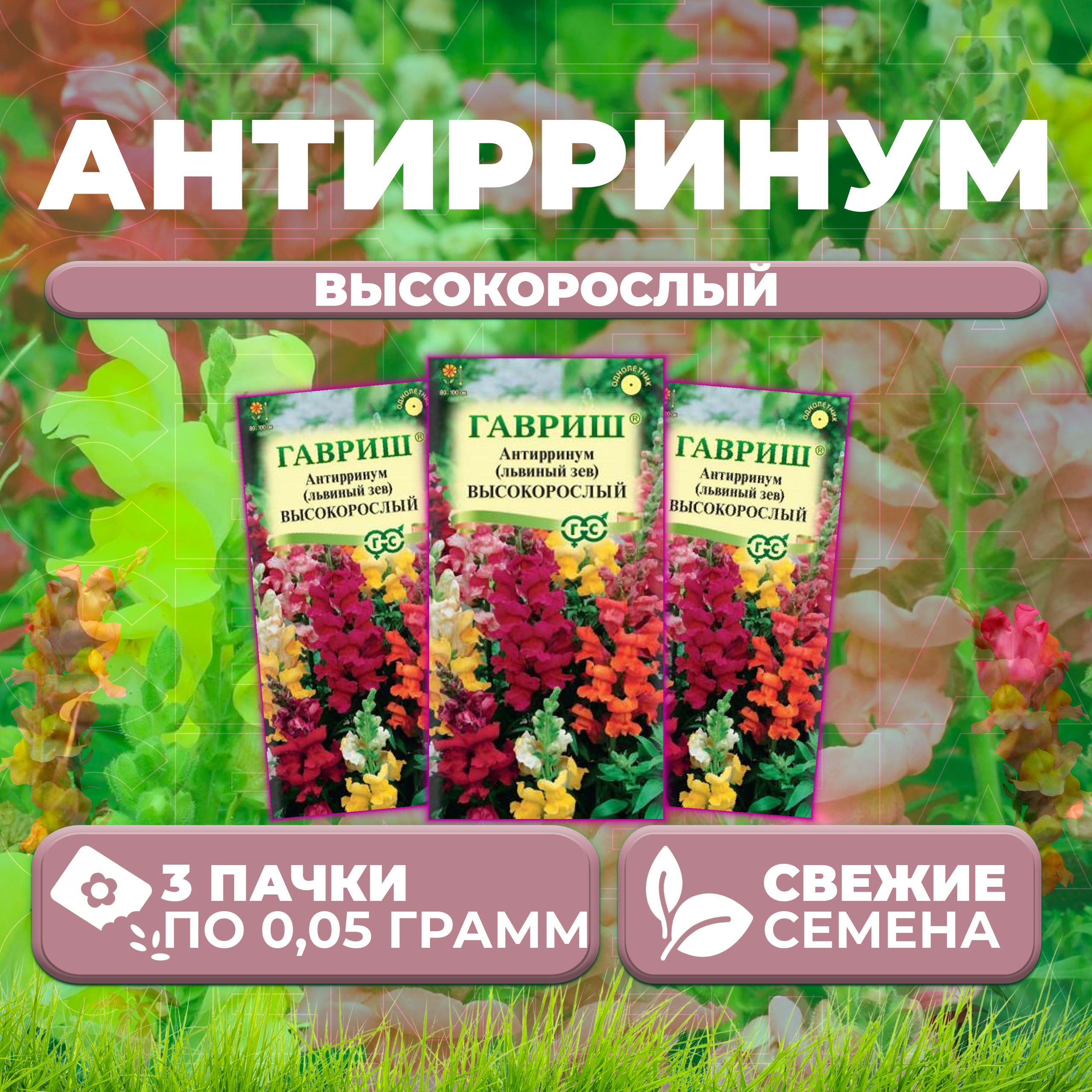 

Семена Антирринум (Львиный зев) высокорослый, смесь, 0,05г, Гавриш (3 уп)