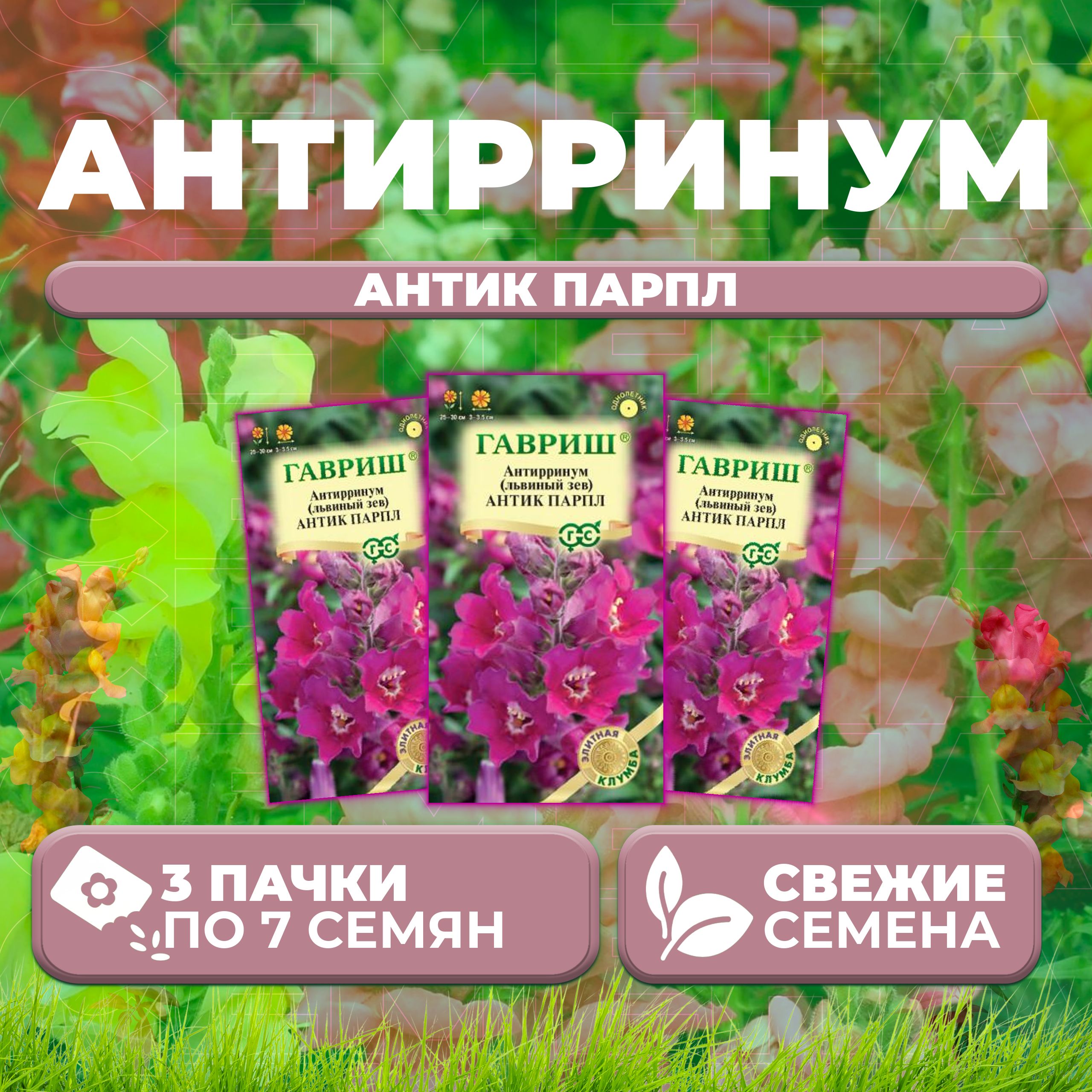 

Семена Антирринум (Львиный зев) Антик Парпл, 7шт, Гавриш, Элитная клумба (3 уп)