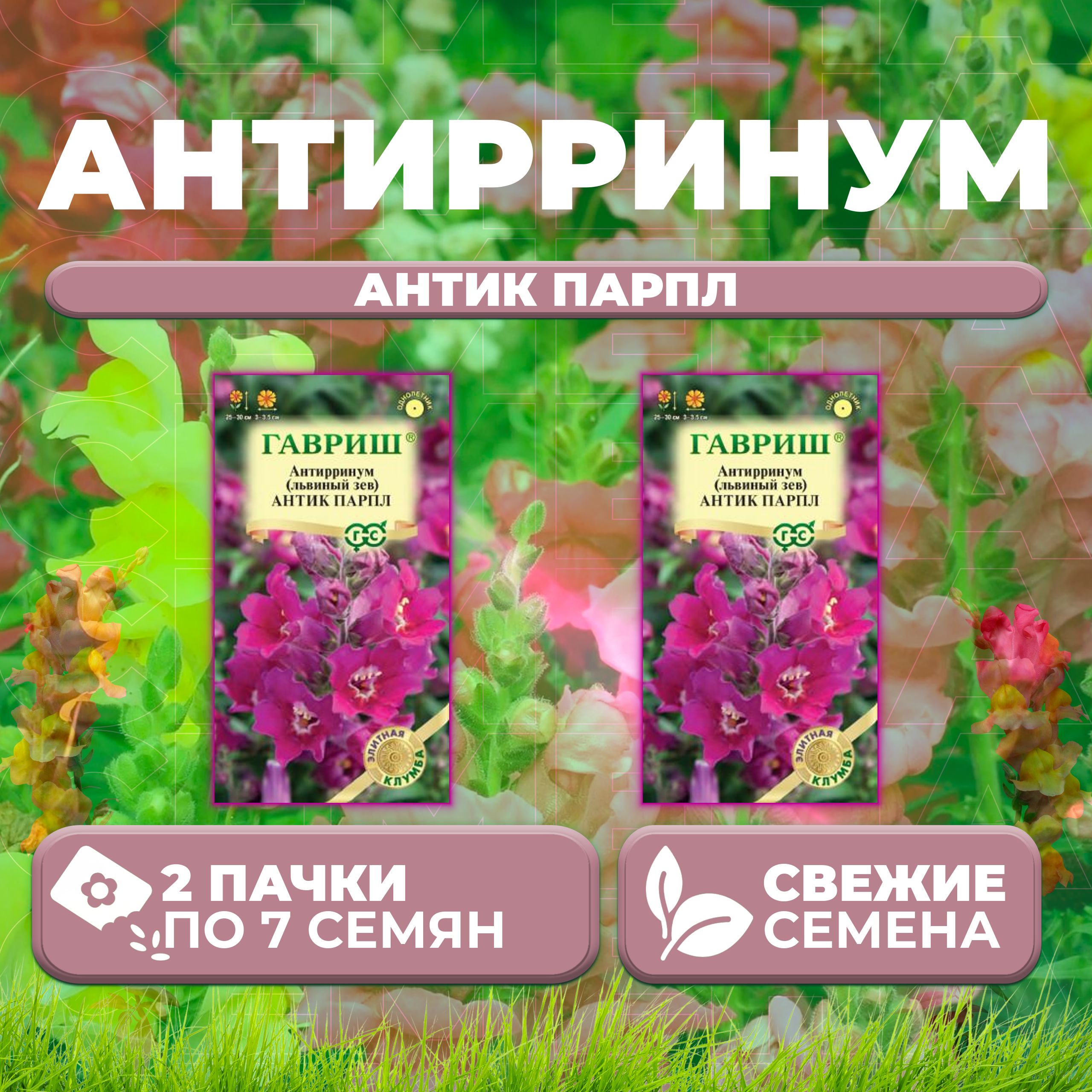 

Семена Антирринум (Львиный зев) Антик Парпл, 7шт, Гавриш, Элитная клумба (2 уп)