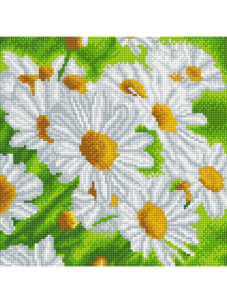

Molly Ромашки, 12 цветов, 30х30 см, Ромашки, 12 цветов, 30х30 см