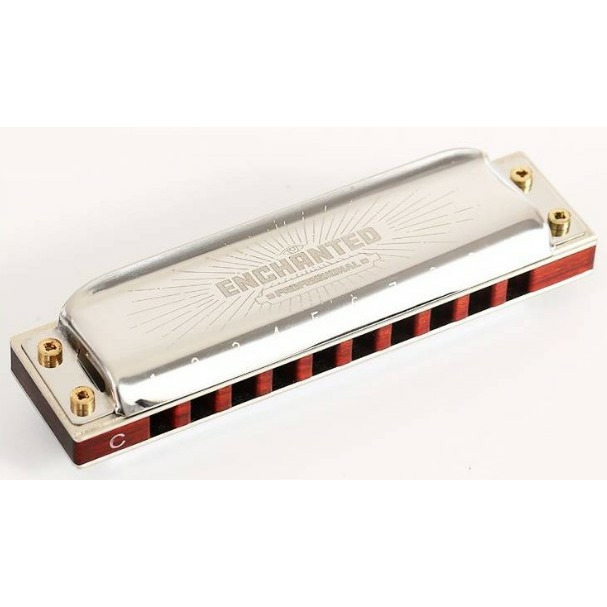 

Губная гармошка Easttop PRO30 Bb, Серебристый, PRO30 Bb