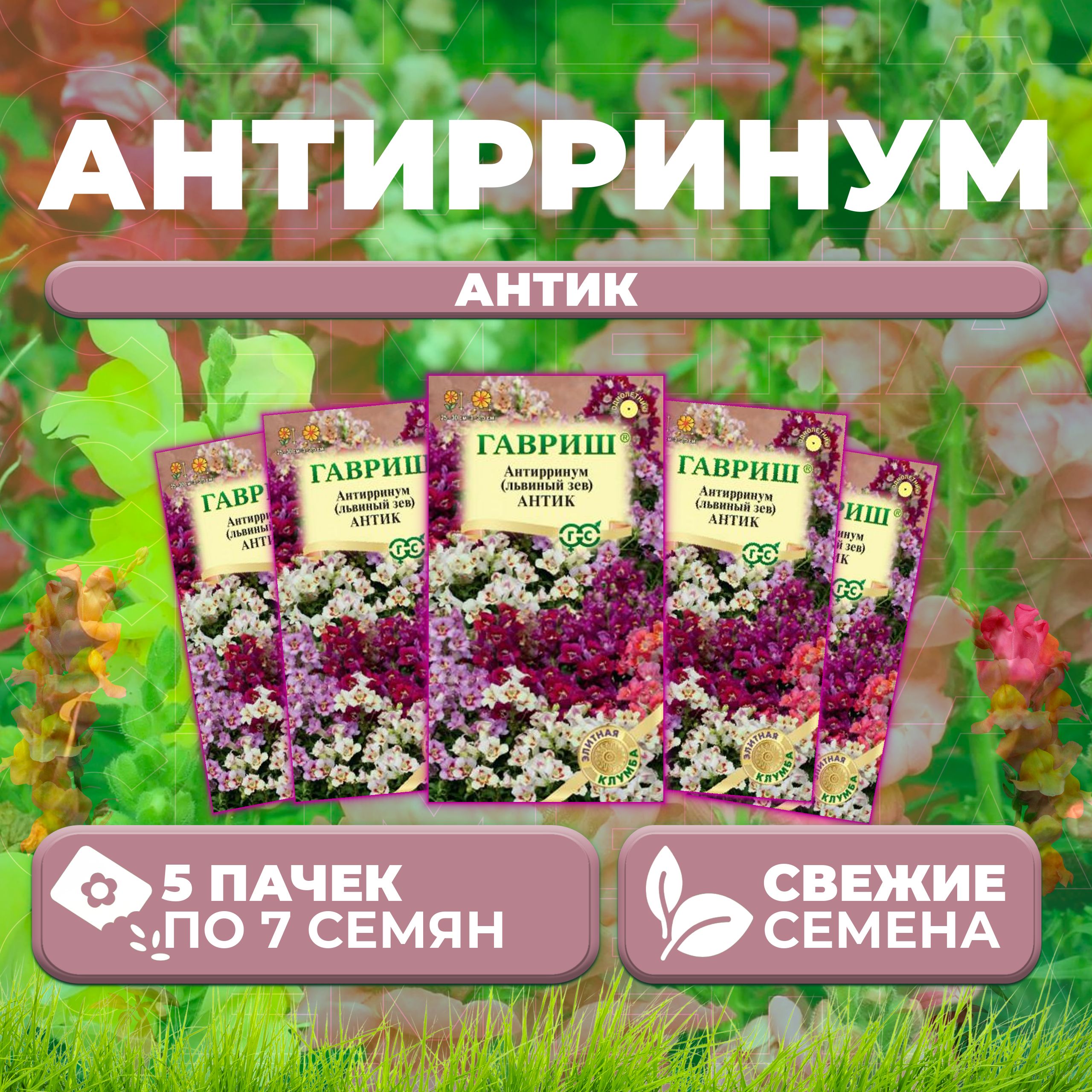 

Семена Антирринум (Львиный зев) Антик, смесь, 7шт, Гавриш, Элитная клумба (5 уп)