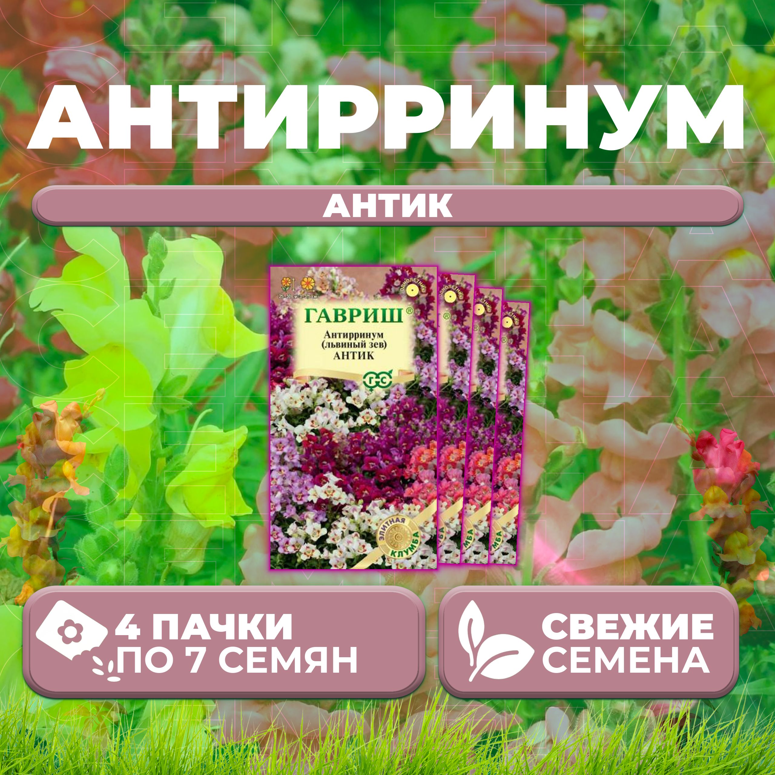 

Семена Антирринум (Львиный зев) Антик, смесь, 7шт, Гавриш, Элитная клумба (4 уп)