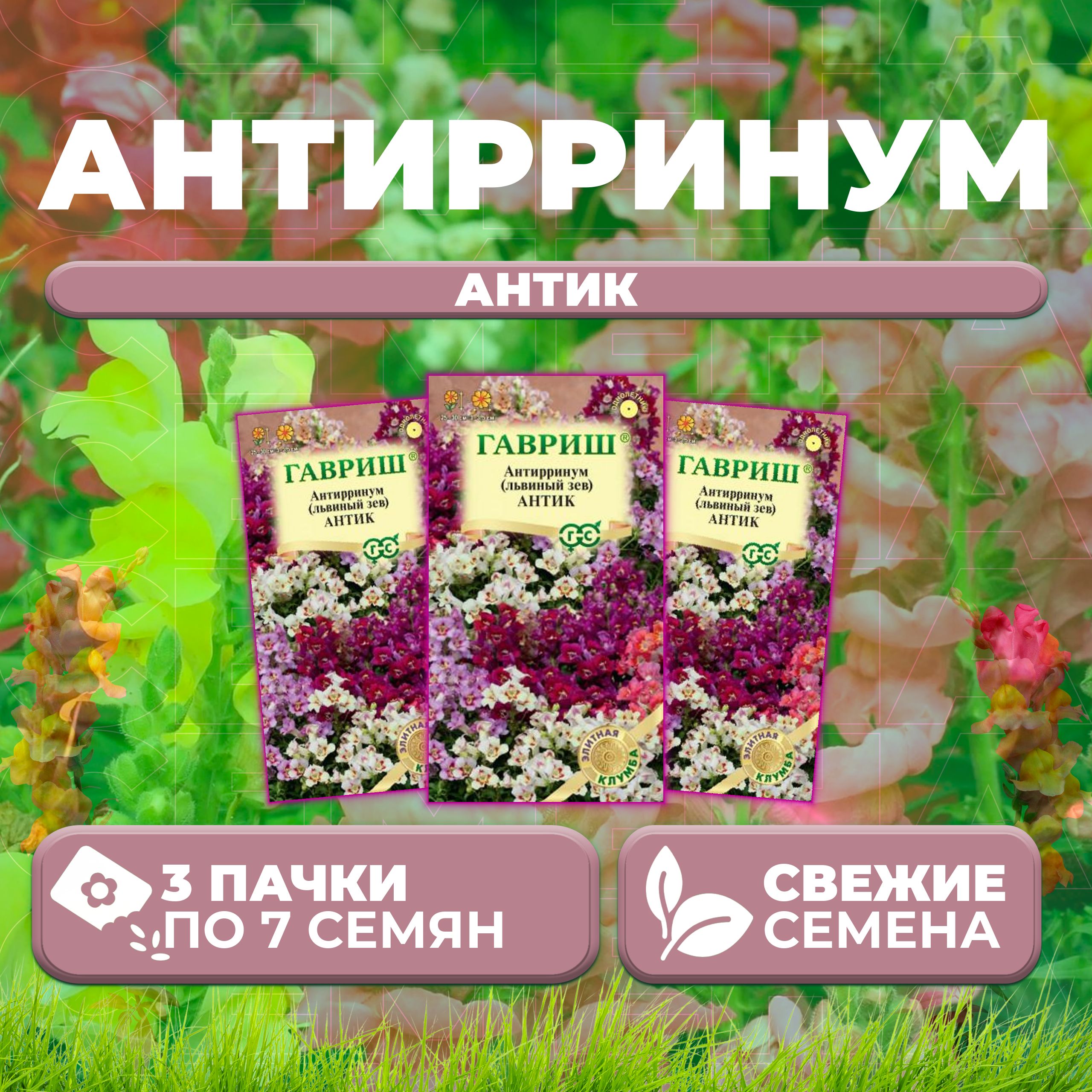 

Семена Антирринум (Львиный зев) Антик, смесь, 7шт, Гавриш, Элитная клумба (3 уп)