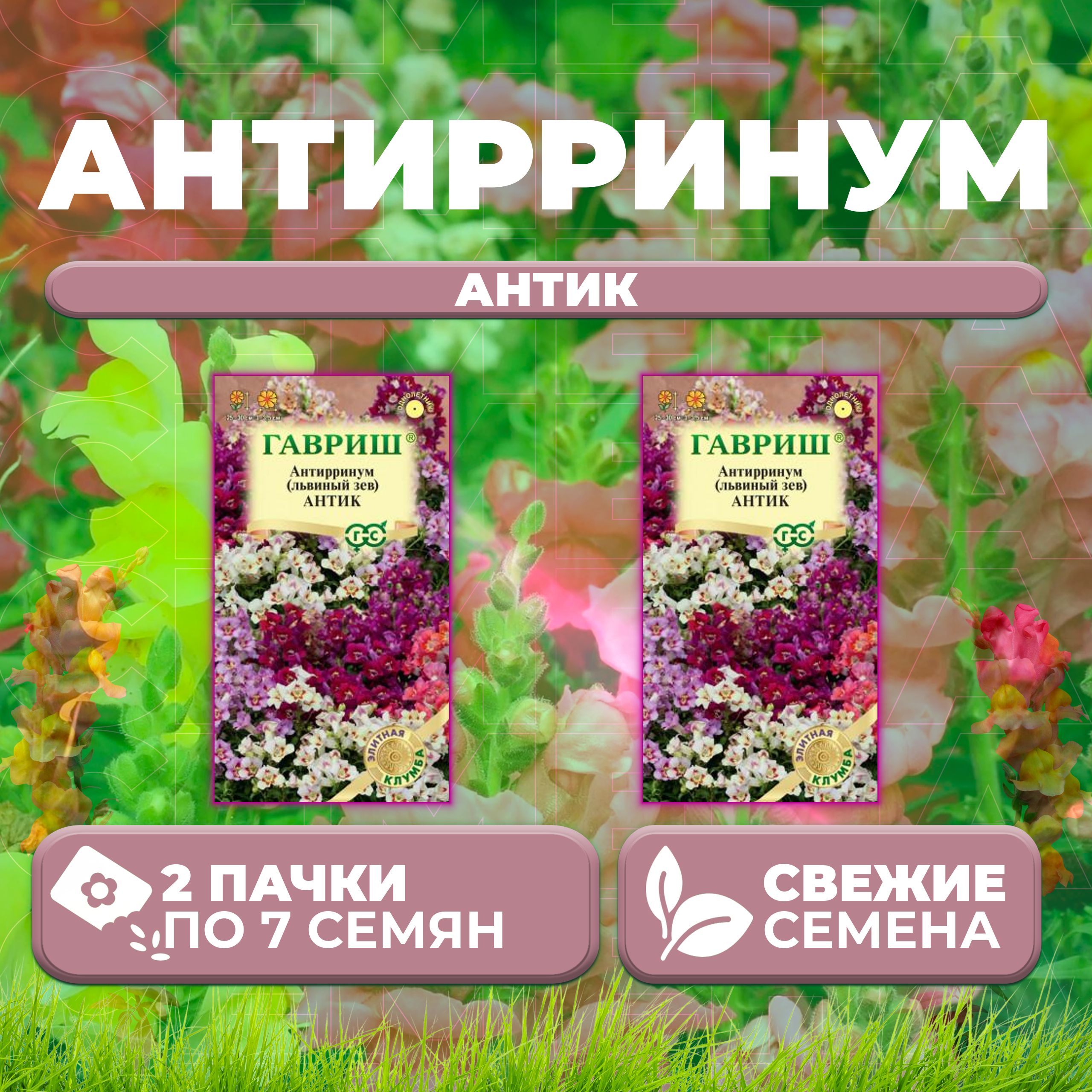 

Семена Антирринум (Львиный зев) Антик, смесь, 7шт, Гавриш, Элитная клумба (2 уп)