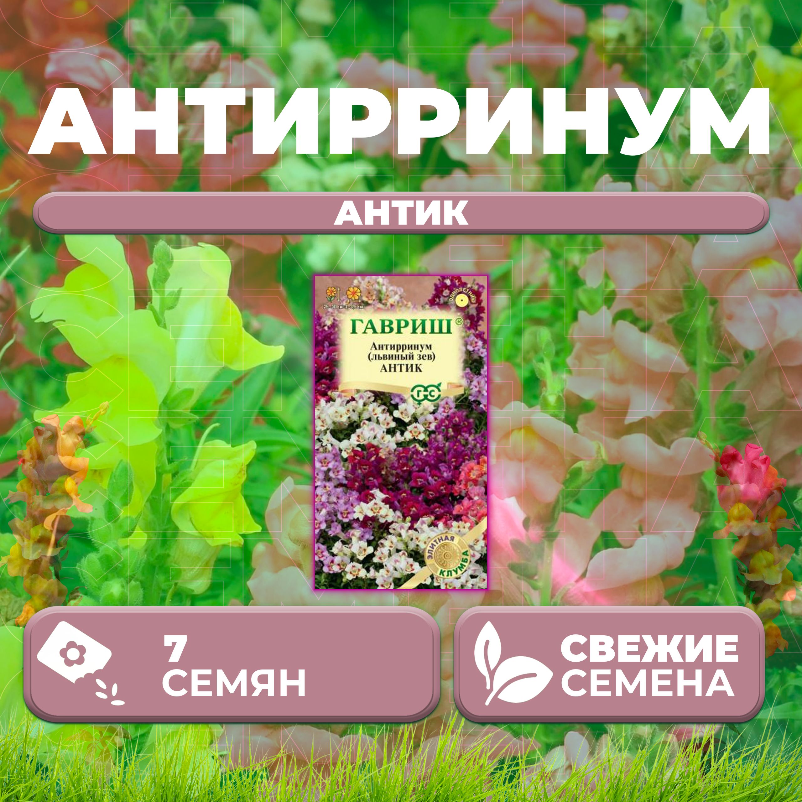 

Семена Антирринум (Львиный зев) Антик, смесь, 7шт, Гавриш, Элитная клумба (1 уп)