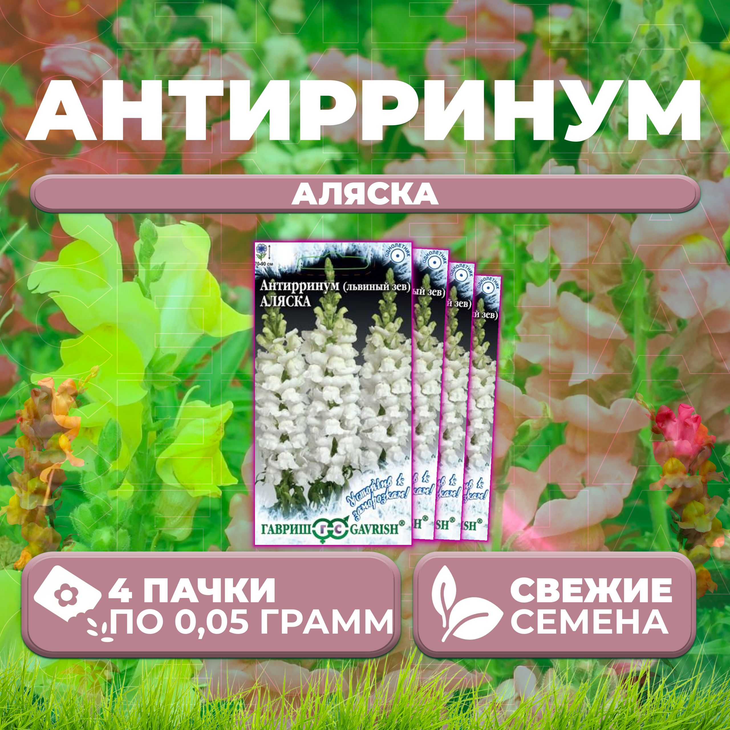 

Семена Антирринум (Львиный зев) Аляска, 0,05г, Гавриш, Устойчив к заморозкам (4 уп)